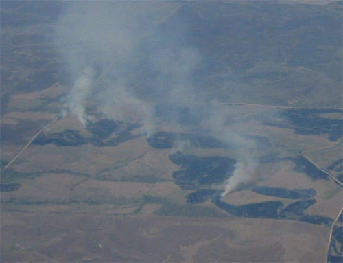 They burn vast amounts of land, thousands of square miles.