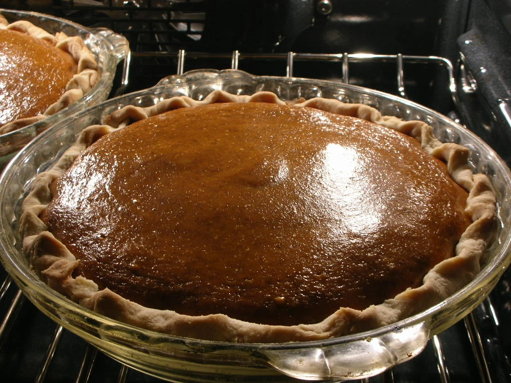 dscn8796 Nothing like pumpkin pie for breakfast.