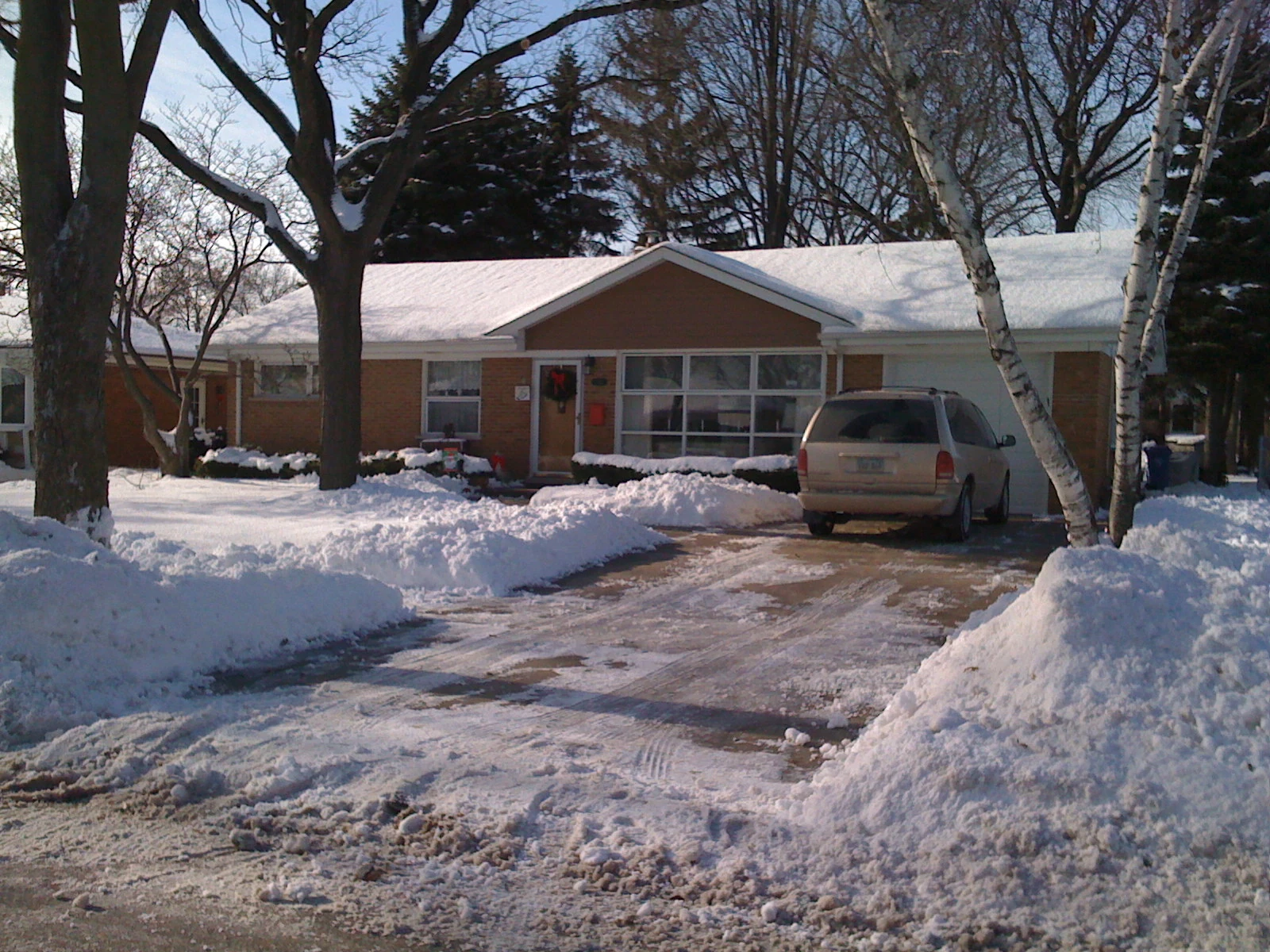 Snowy Mt. Prospect, Il