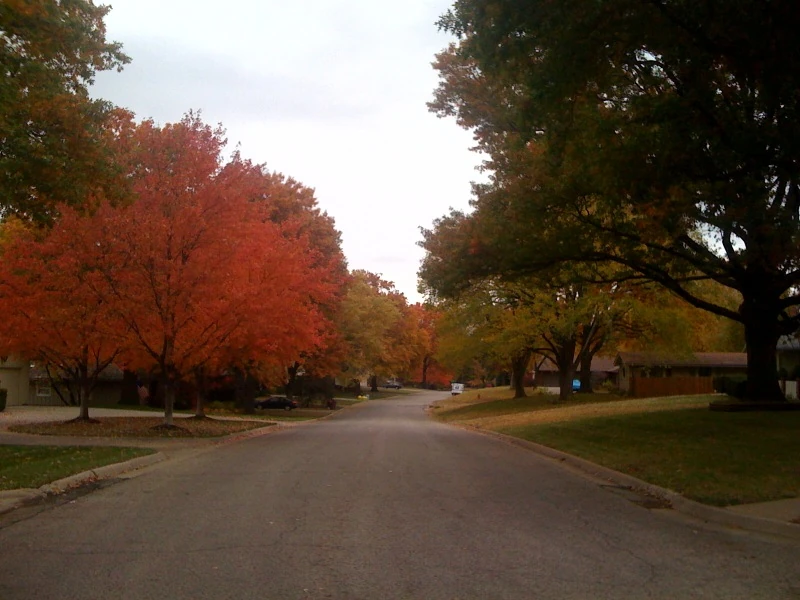 Looking down my street on the way back from a ride. The leaves are beautiful, but treacherous when they&rsquo;re wet. 