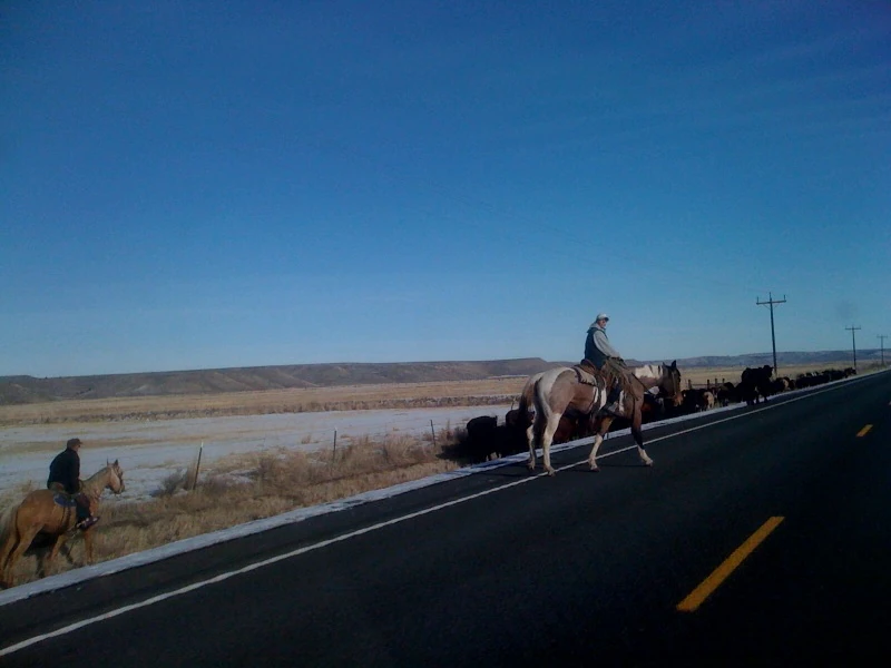 You don&rsquo;t see this much anymore.