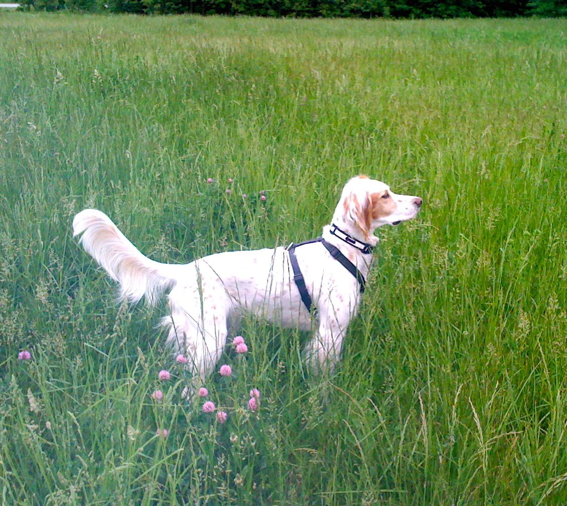 One of my favorite pictures of Bromont.