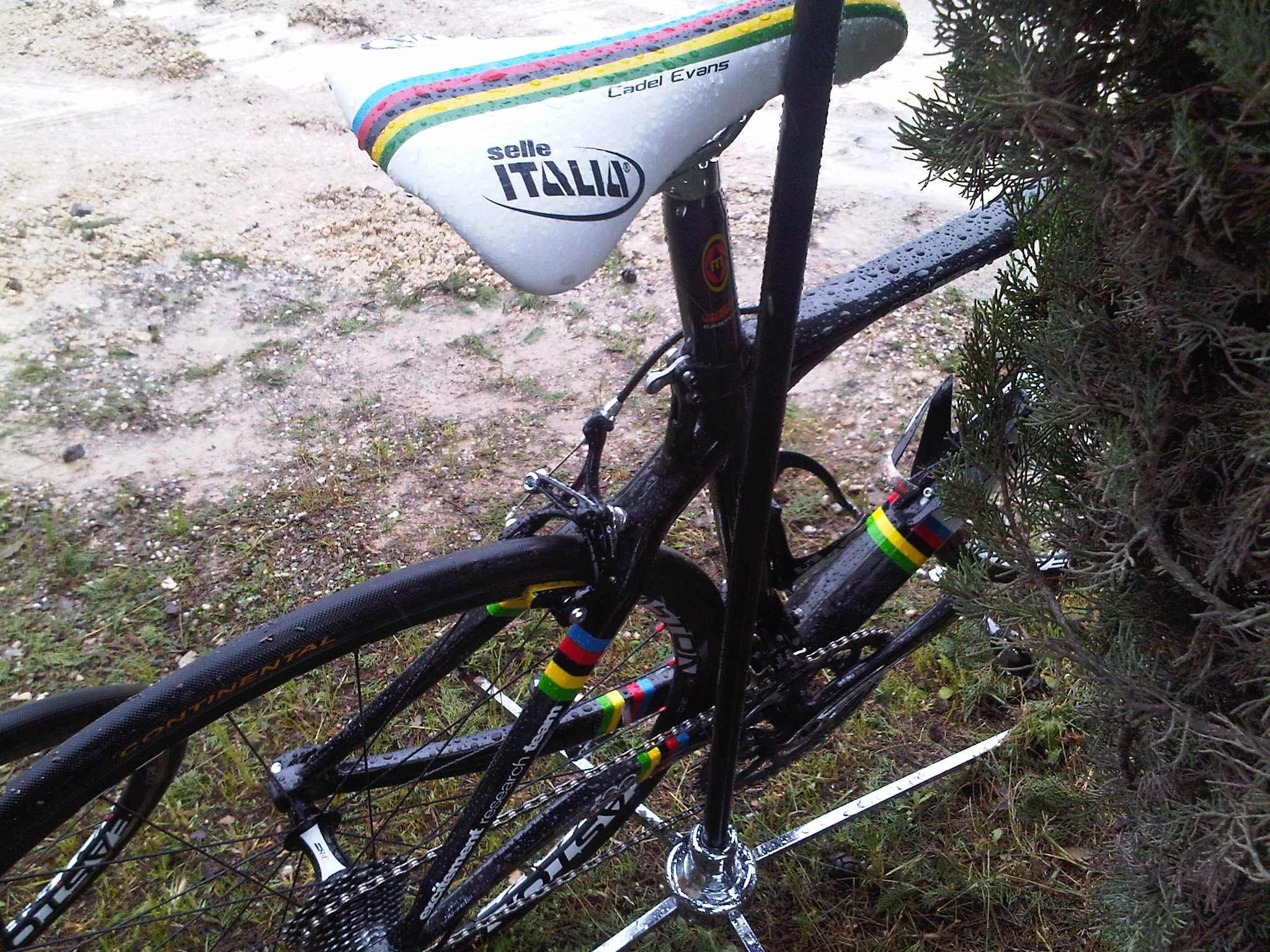 IMG00922-20100515-1514