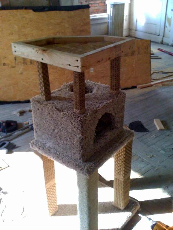 cattower2