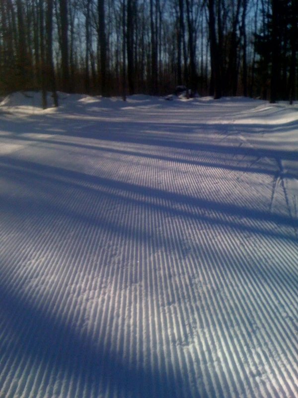 corduroy