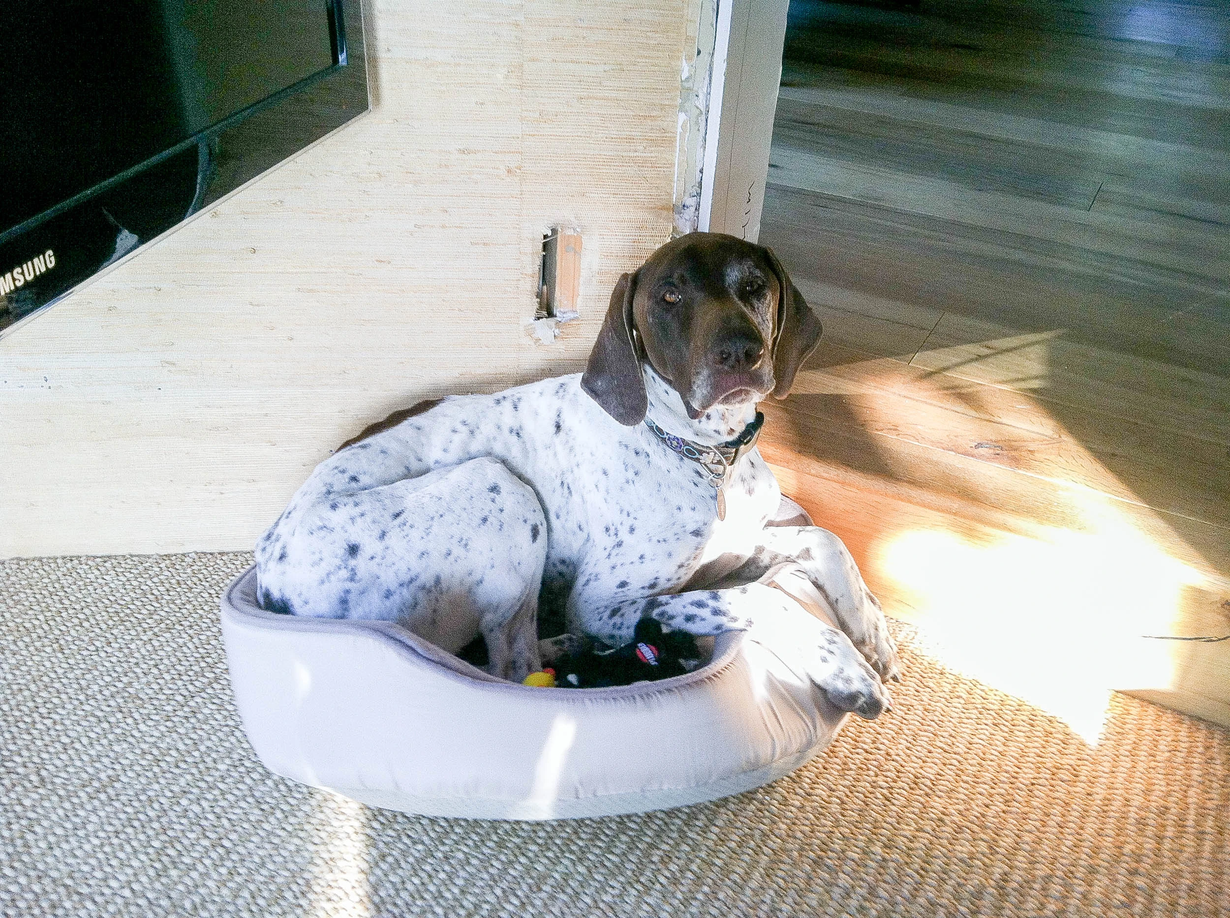 Ranger acting a little silly.