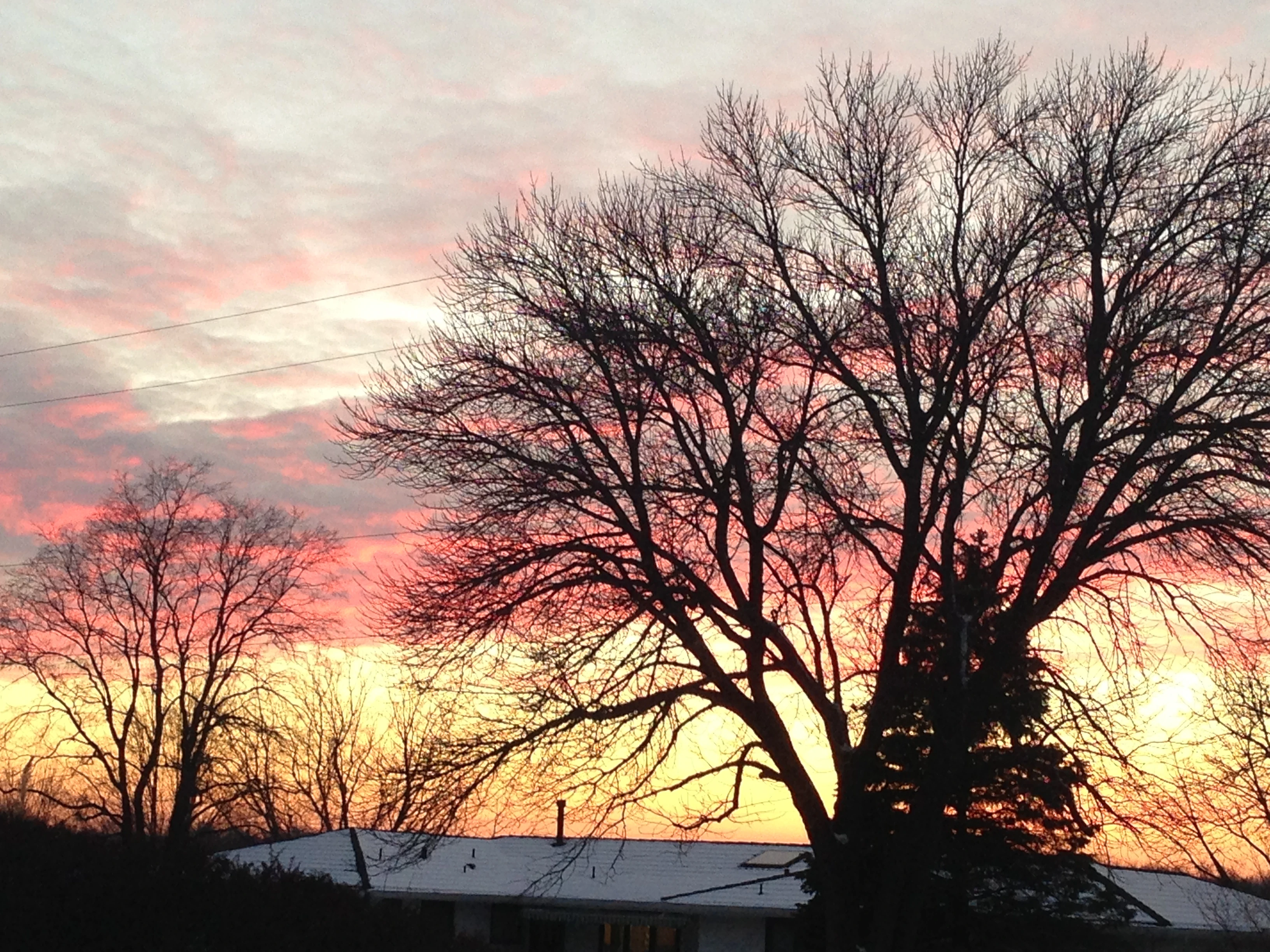 The sunset yesterday was especially good.