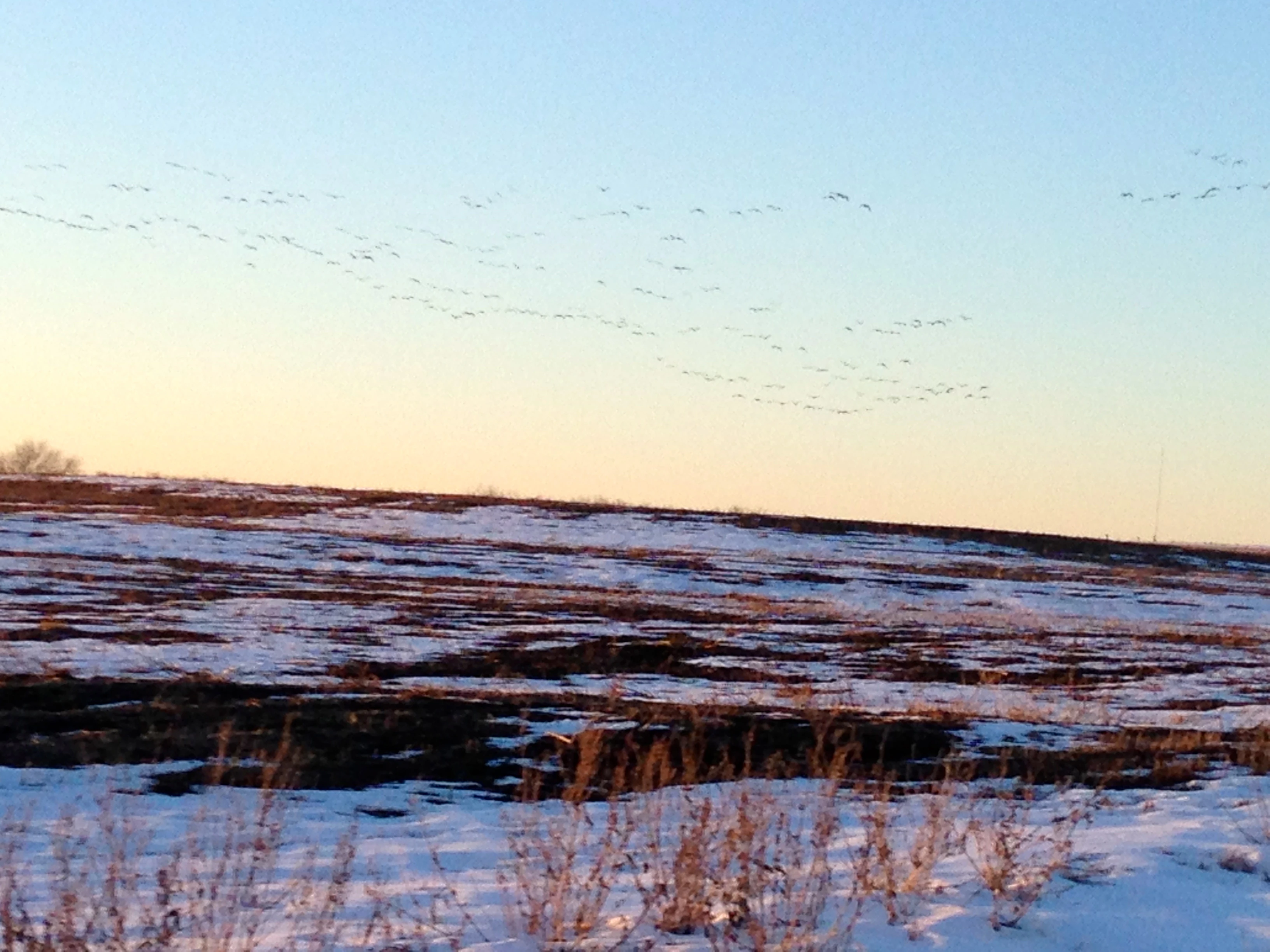 I was thinking how much I enjoy riding in the winter today. I sort of hate these races being so late in the season, but when I&rsquo;m actually out riding, it seems great.