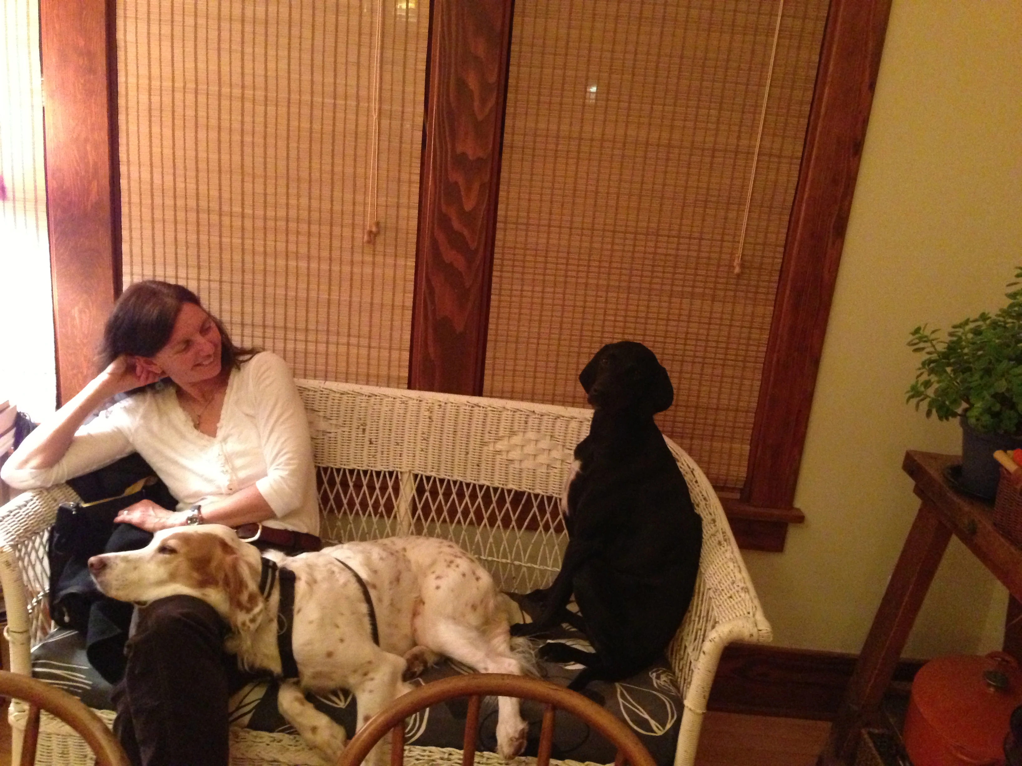 Steve Myrland&rsquo;s is a dog friendly place. Here is Trudi, Bromont and Emma.