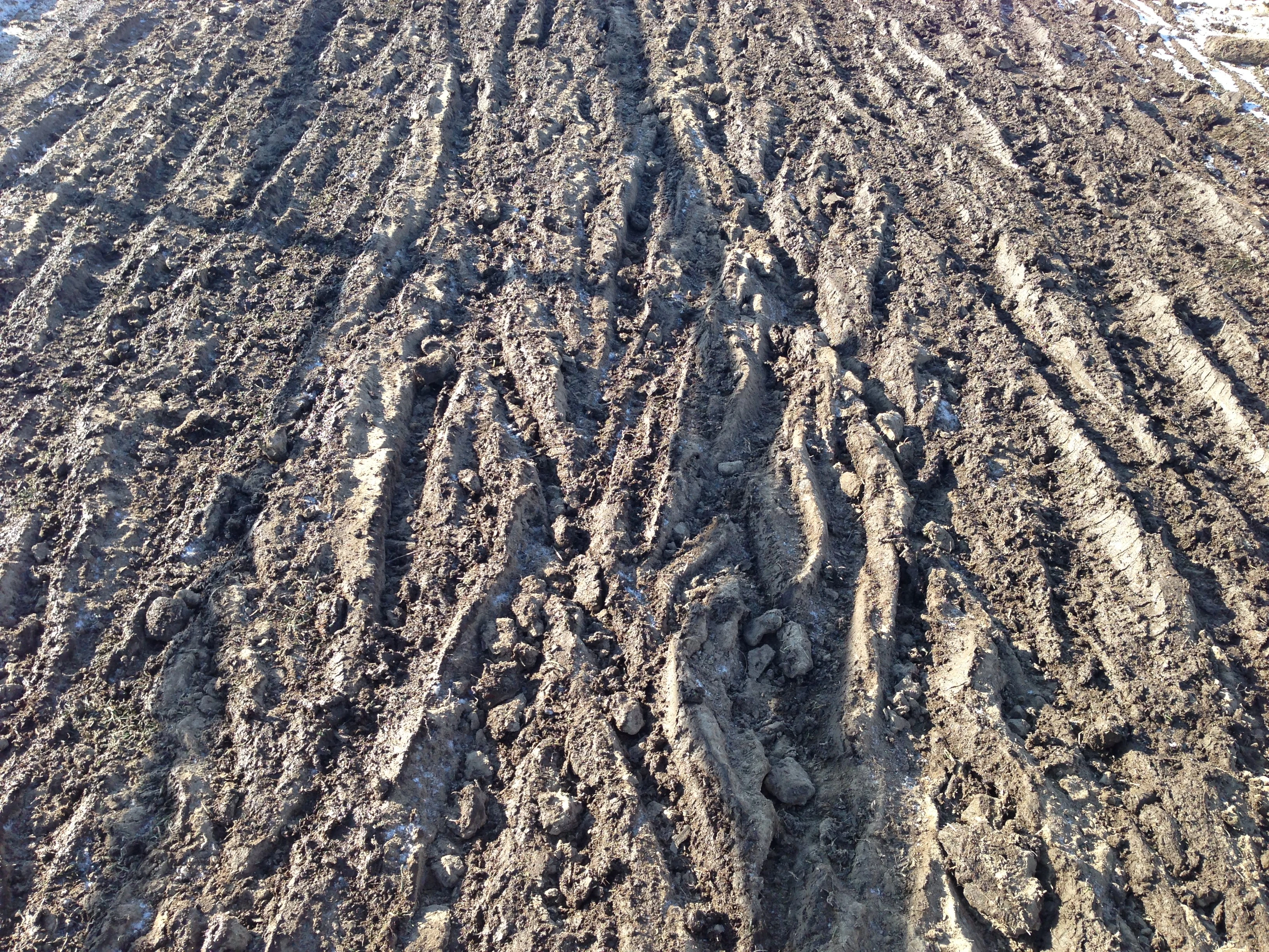 Just a small sample of the course conditions.