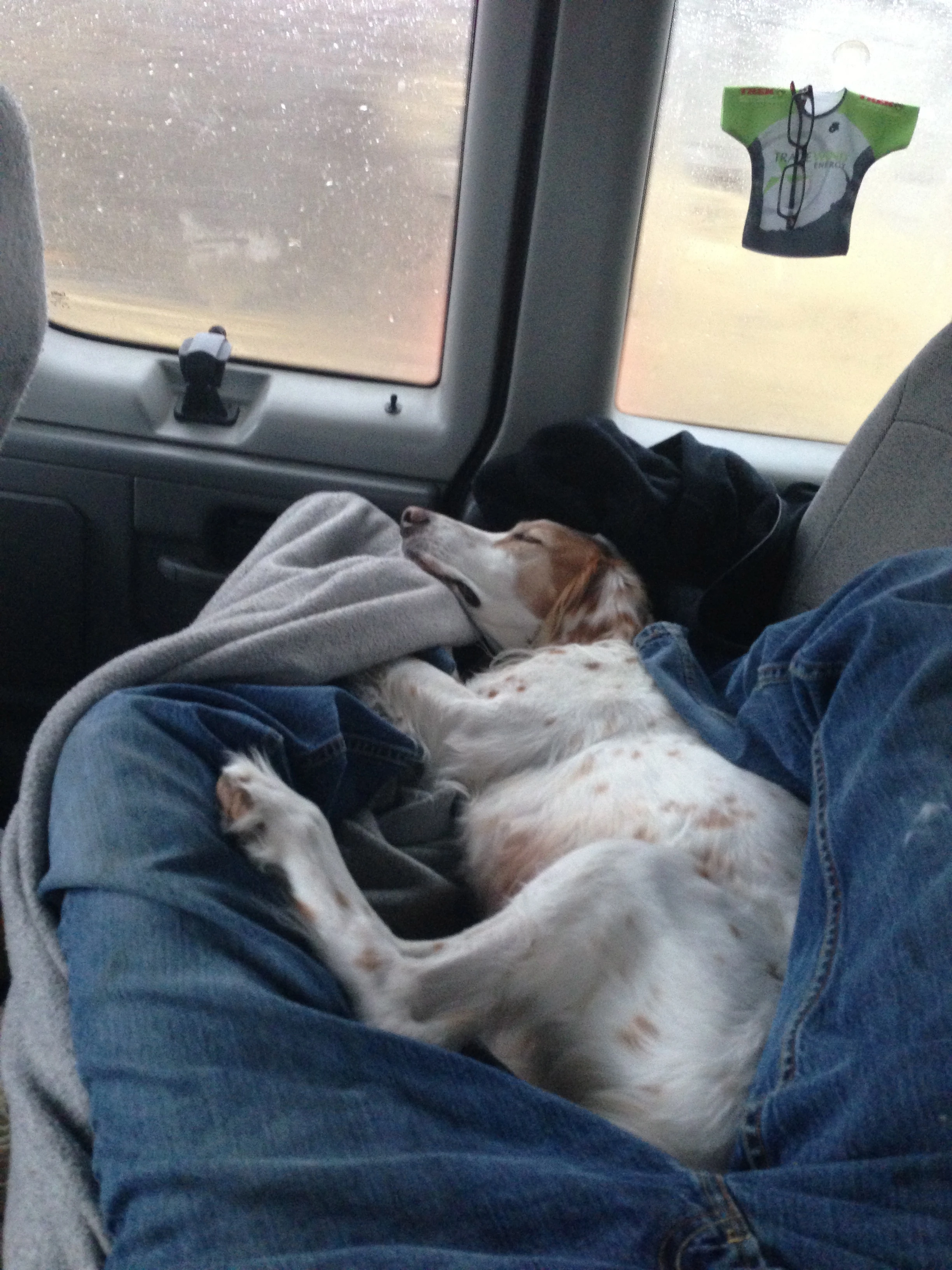 I drove most of the way, well more than 1/2, but the rest of the time I was in the back with Bromont.