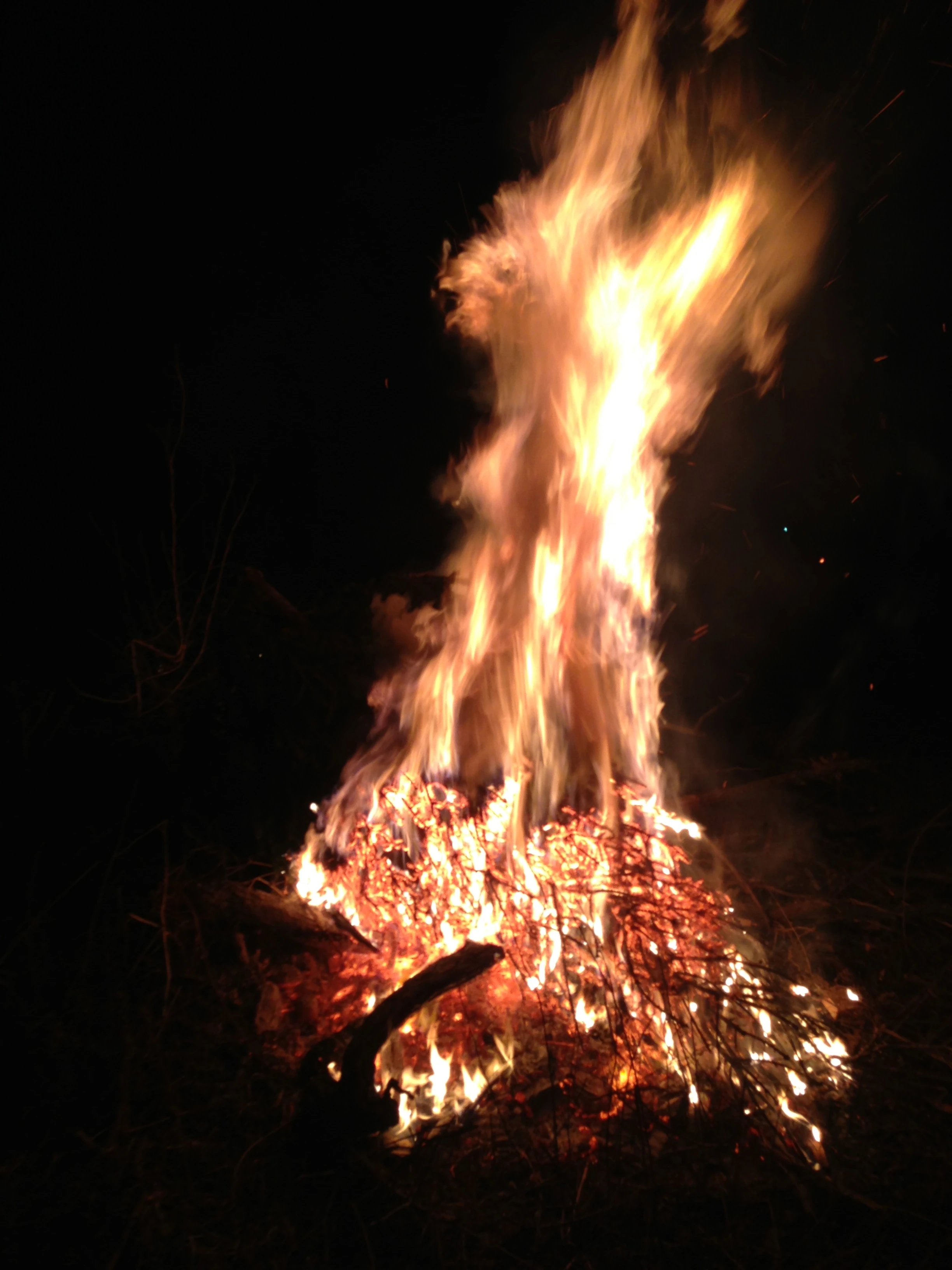 The fire in the back was great. Outdoor fires in the winter are wonderful.