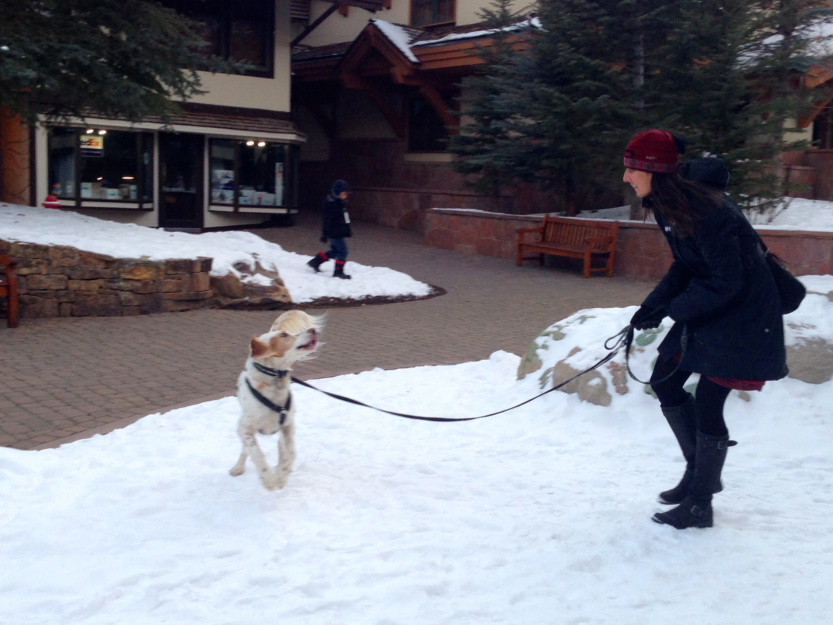 Trudi and Bromont playing in downtown Vail.