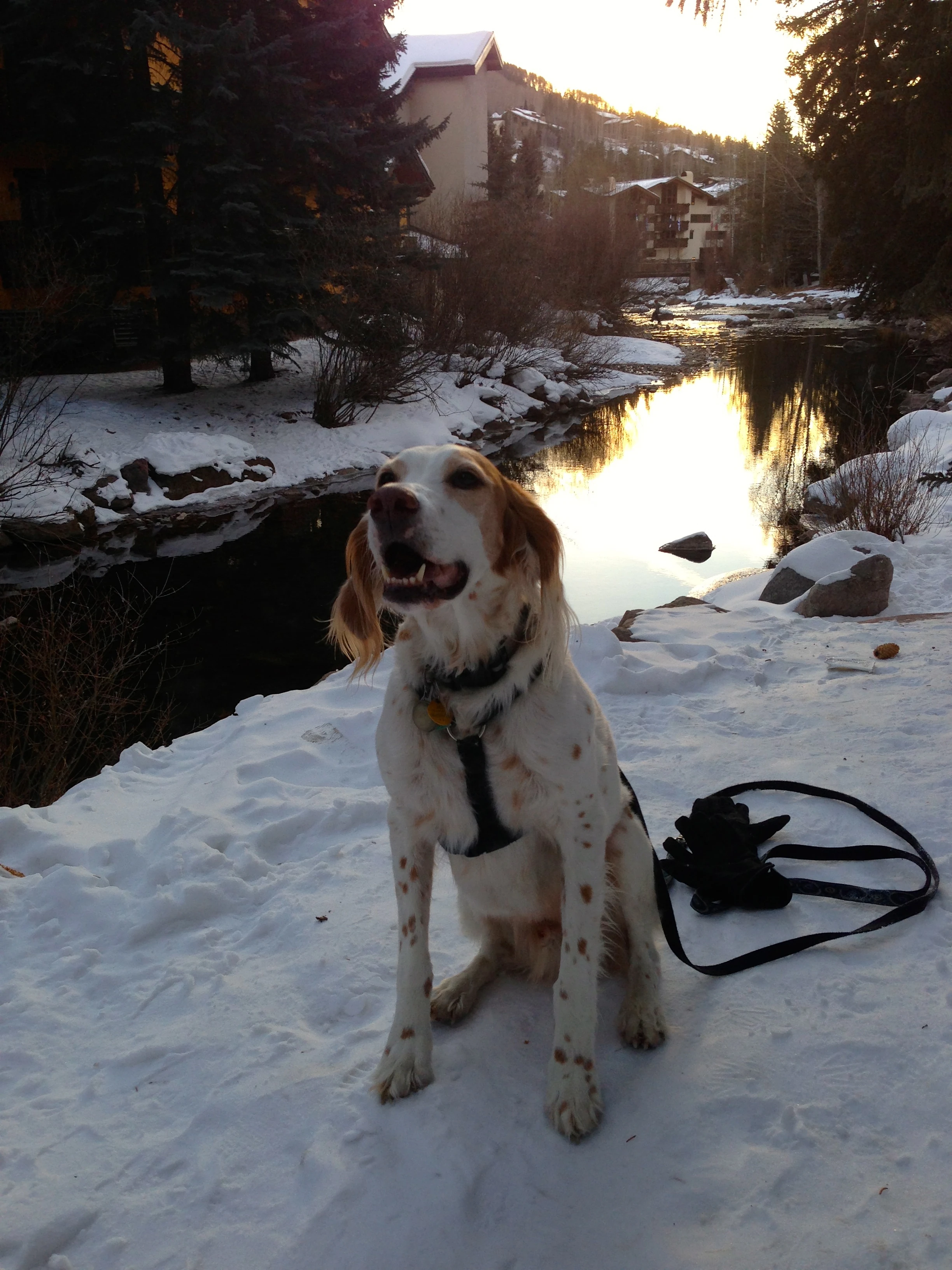 Bromont posing like he does a lot.