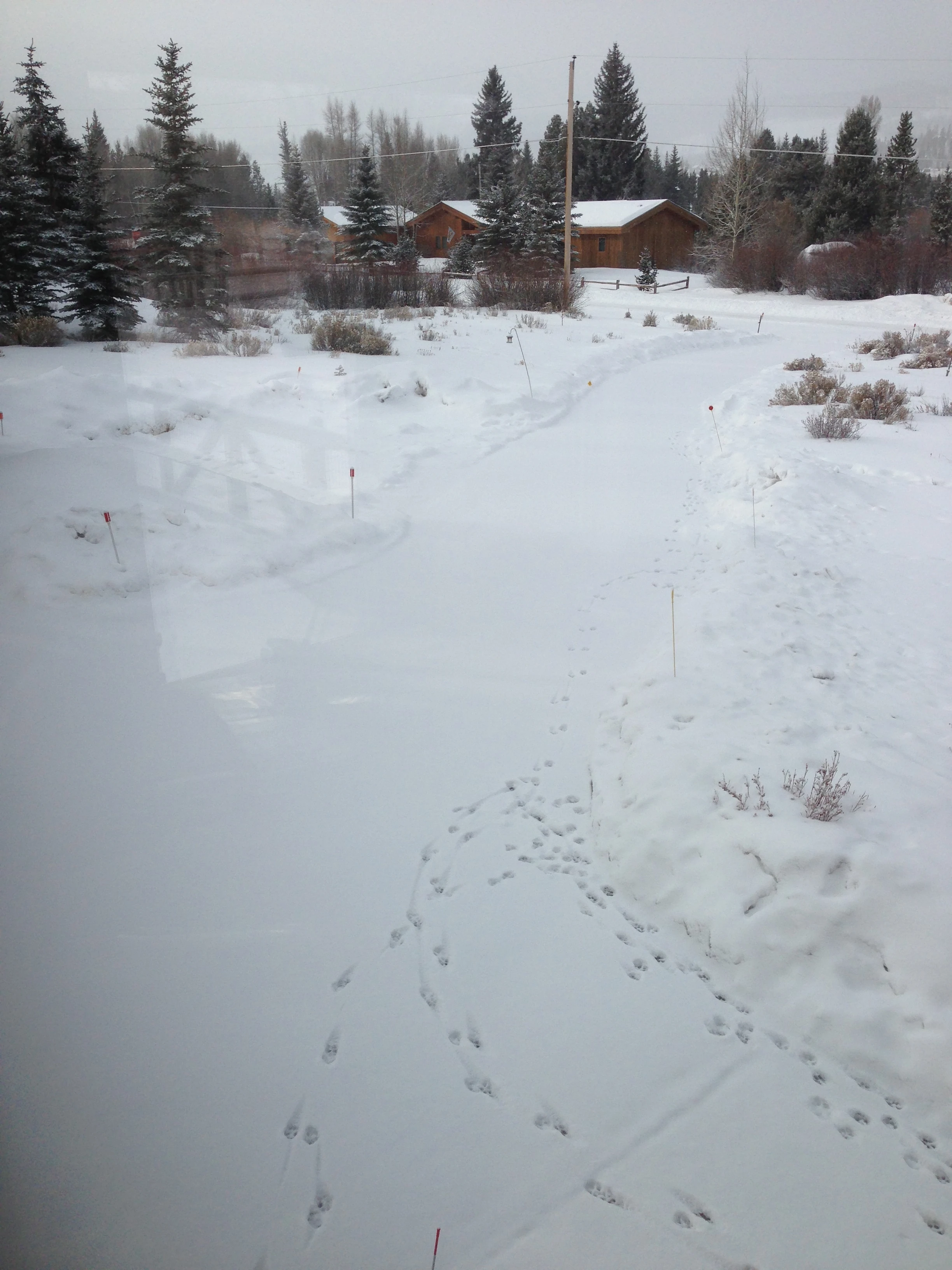 Todays project before the plug replacement project. I shovel left handed. I just kind of move the snow around. Trudi really does all the heavy stuff.