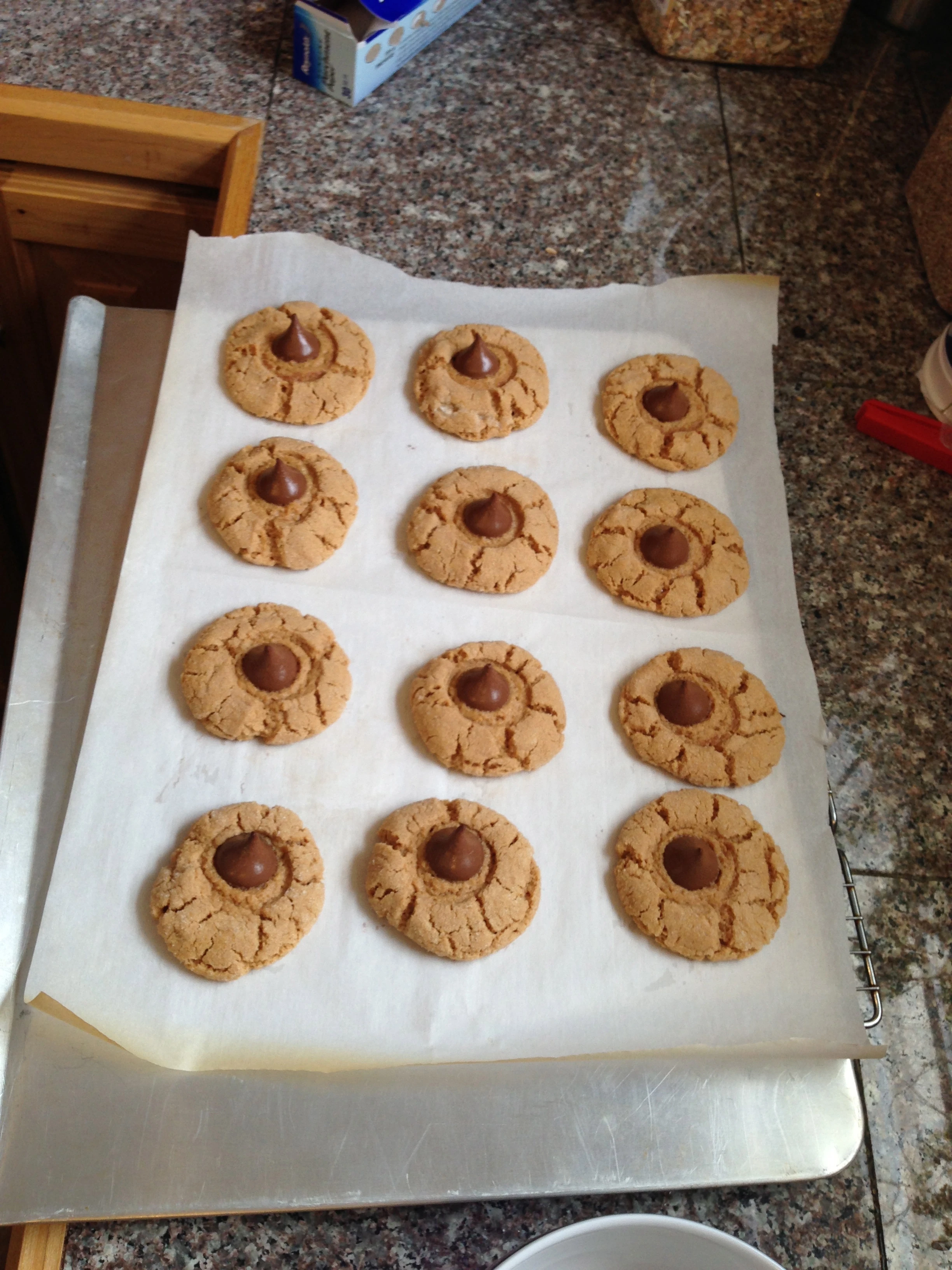 Lisa, Vincent&rsquo;s wife, made us cookies after lunch yesterday. 