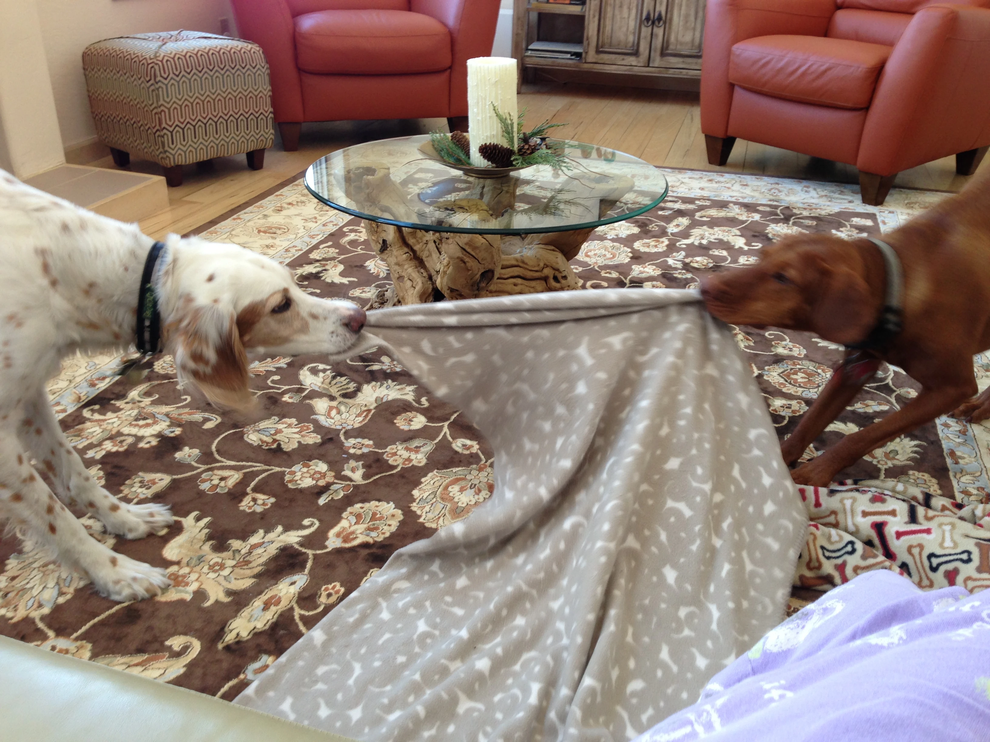 Bromont is going to miss his buddy Jack.