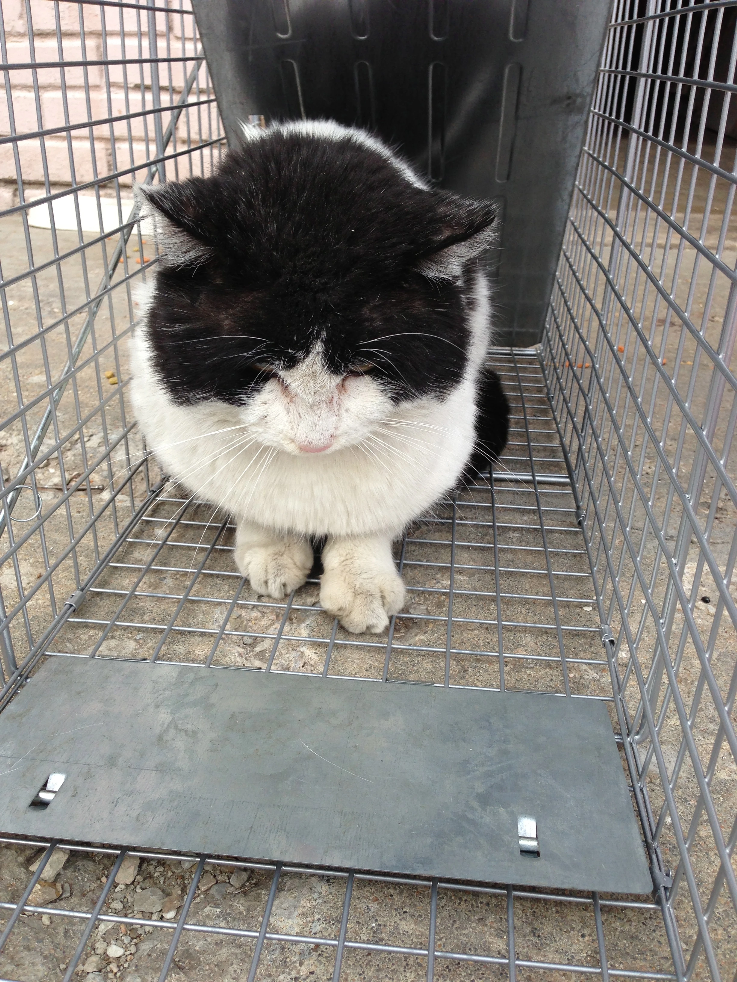 This is my newest acquaintance. She/he seems very cute.