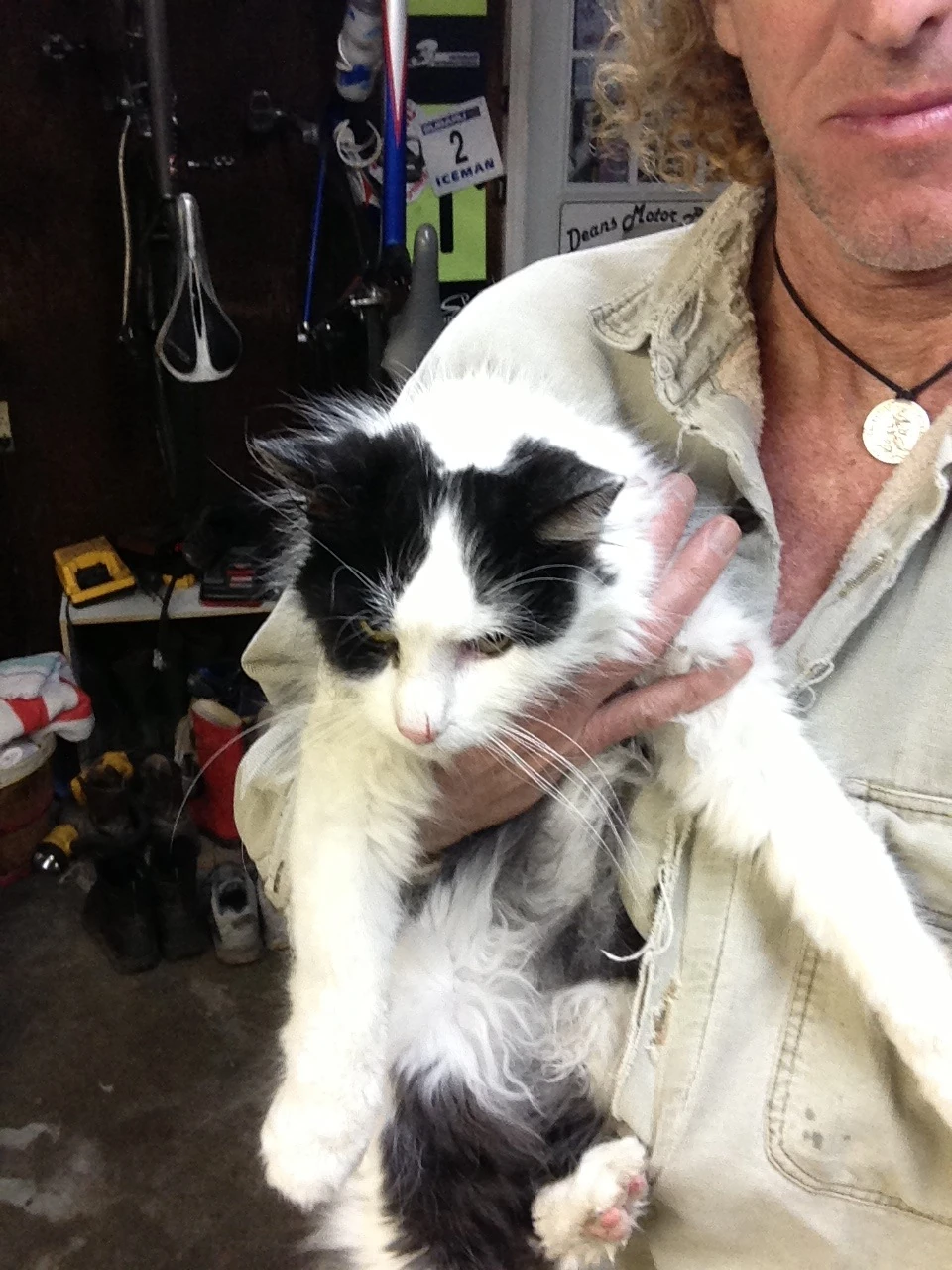 This guy is adorable and needs a new home.