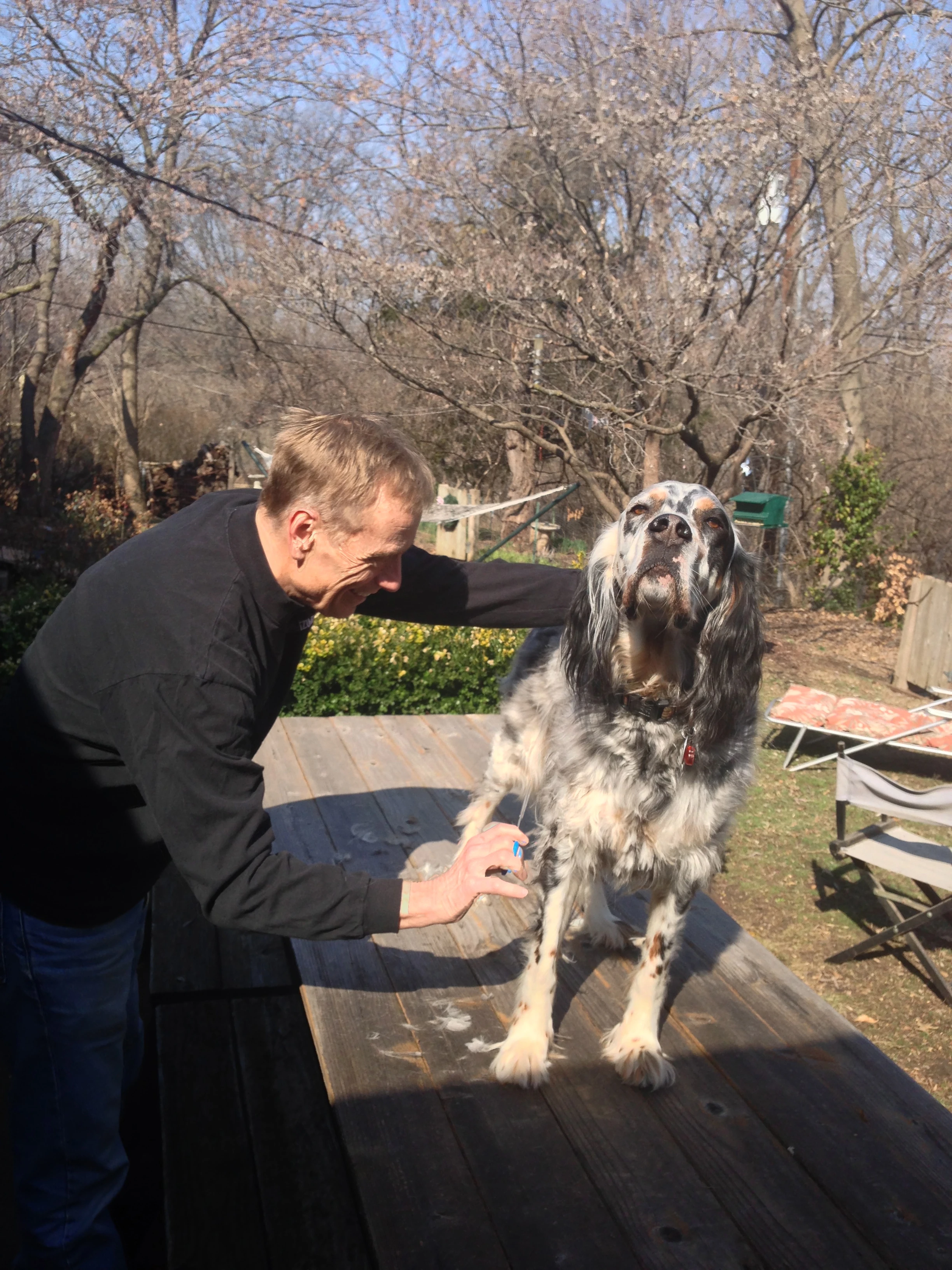 Here is Dennis cooling down his dog Hawkeye on the picnic table. It’s been pretty nice the last couple days, in the 60’s and Hawk is used to cold Wisconsin temperatures.