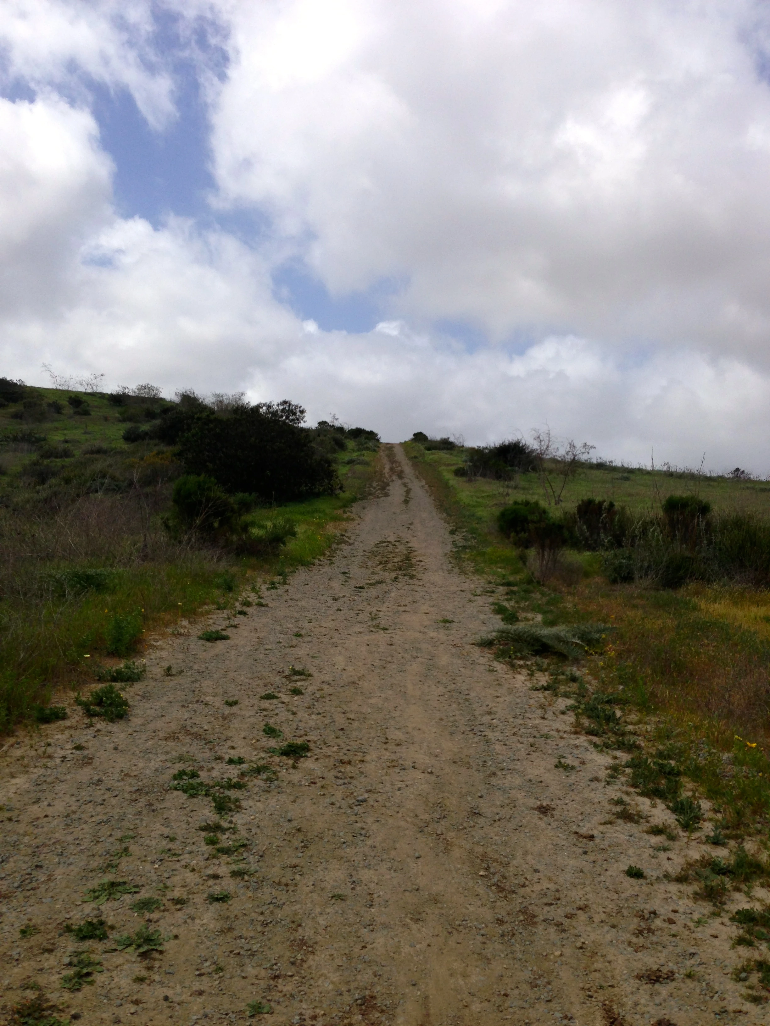 My shoulder didn&rsquo;t like this climb much.