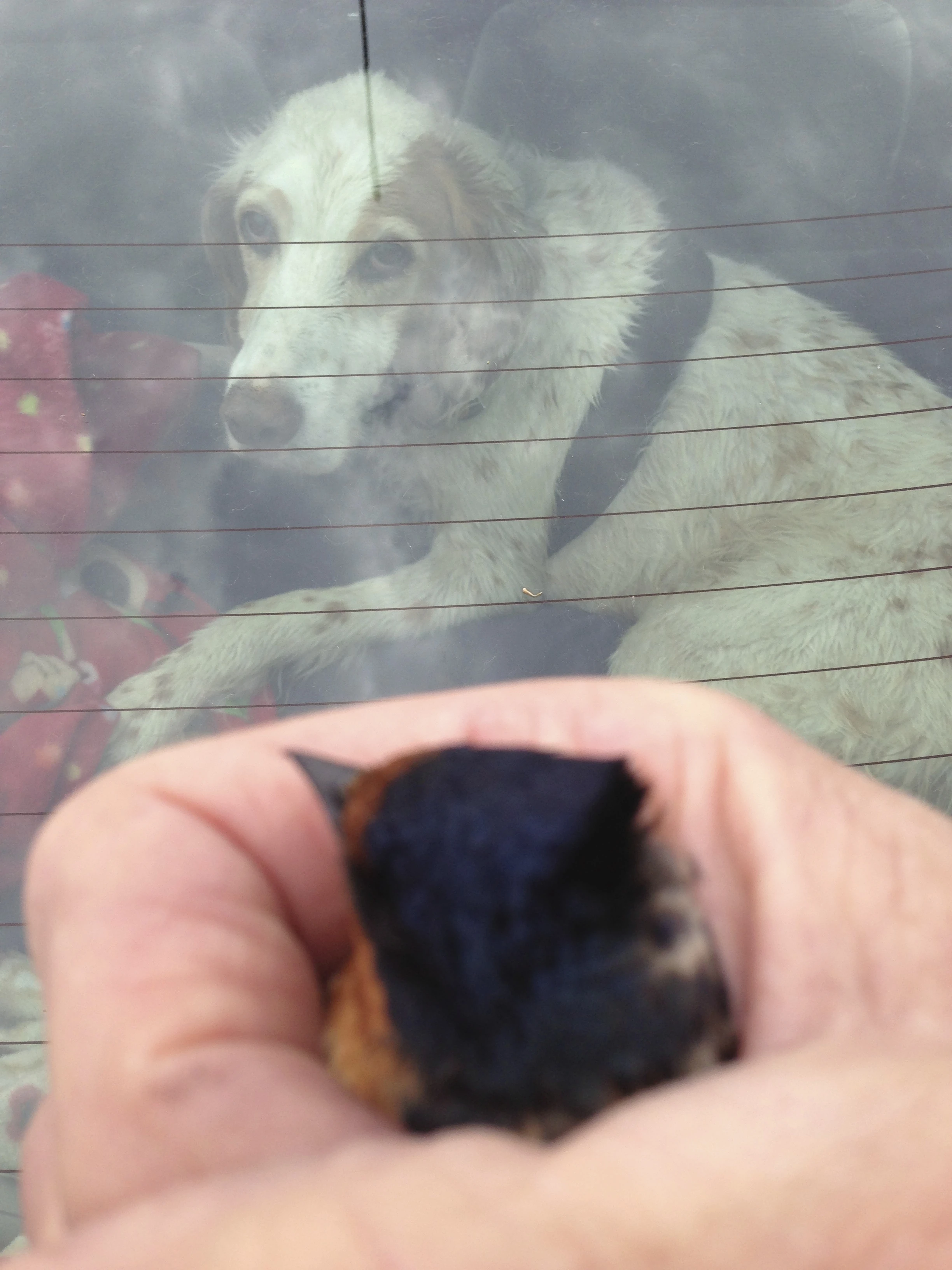 Boromont was concerned of course.