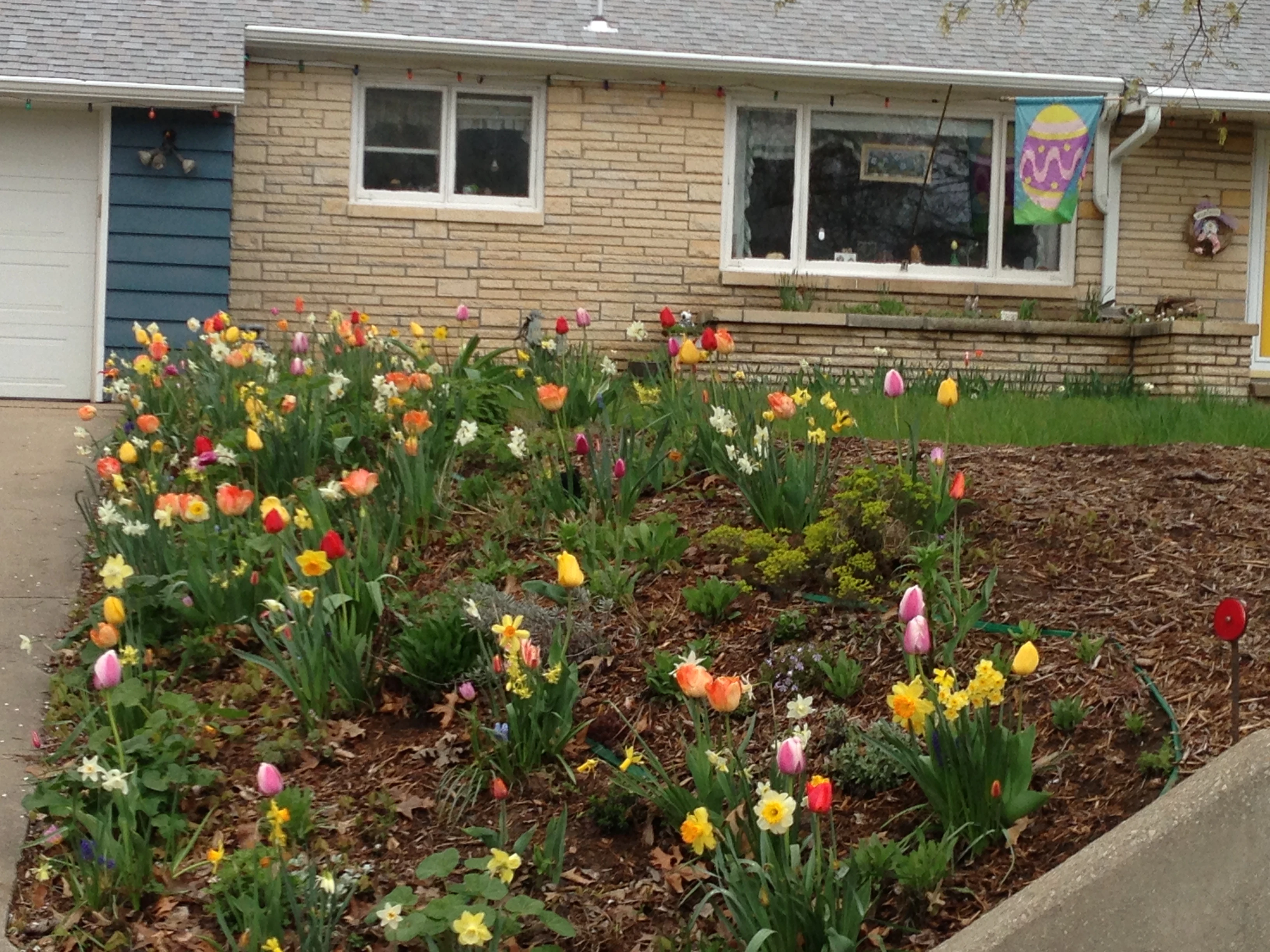 I took this out of the car window driving out of Topeka. It is finally Spring.
