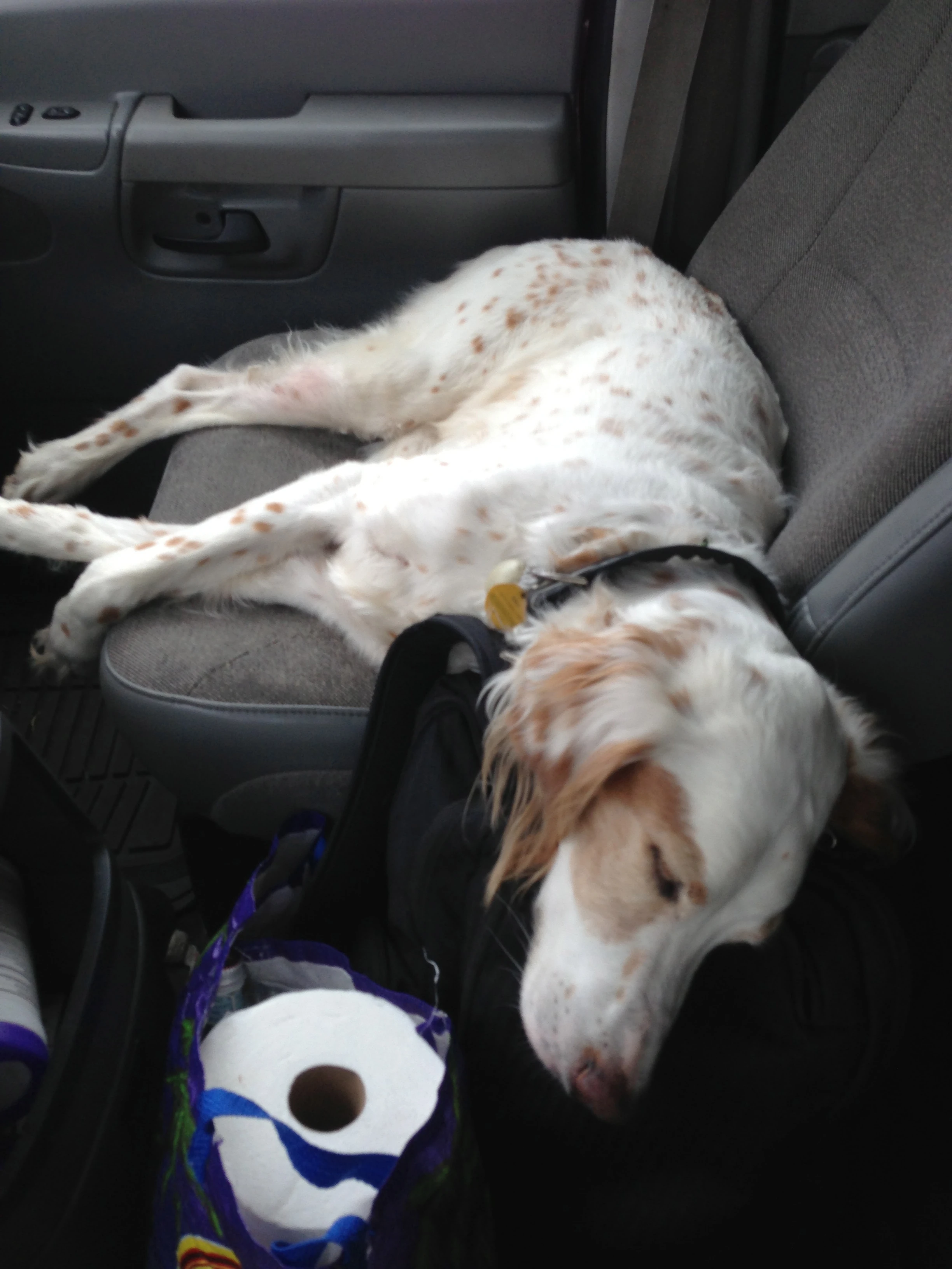 His normal position driving to Texas.