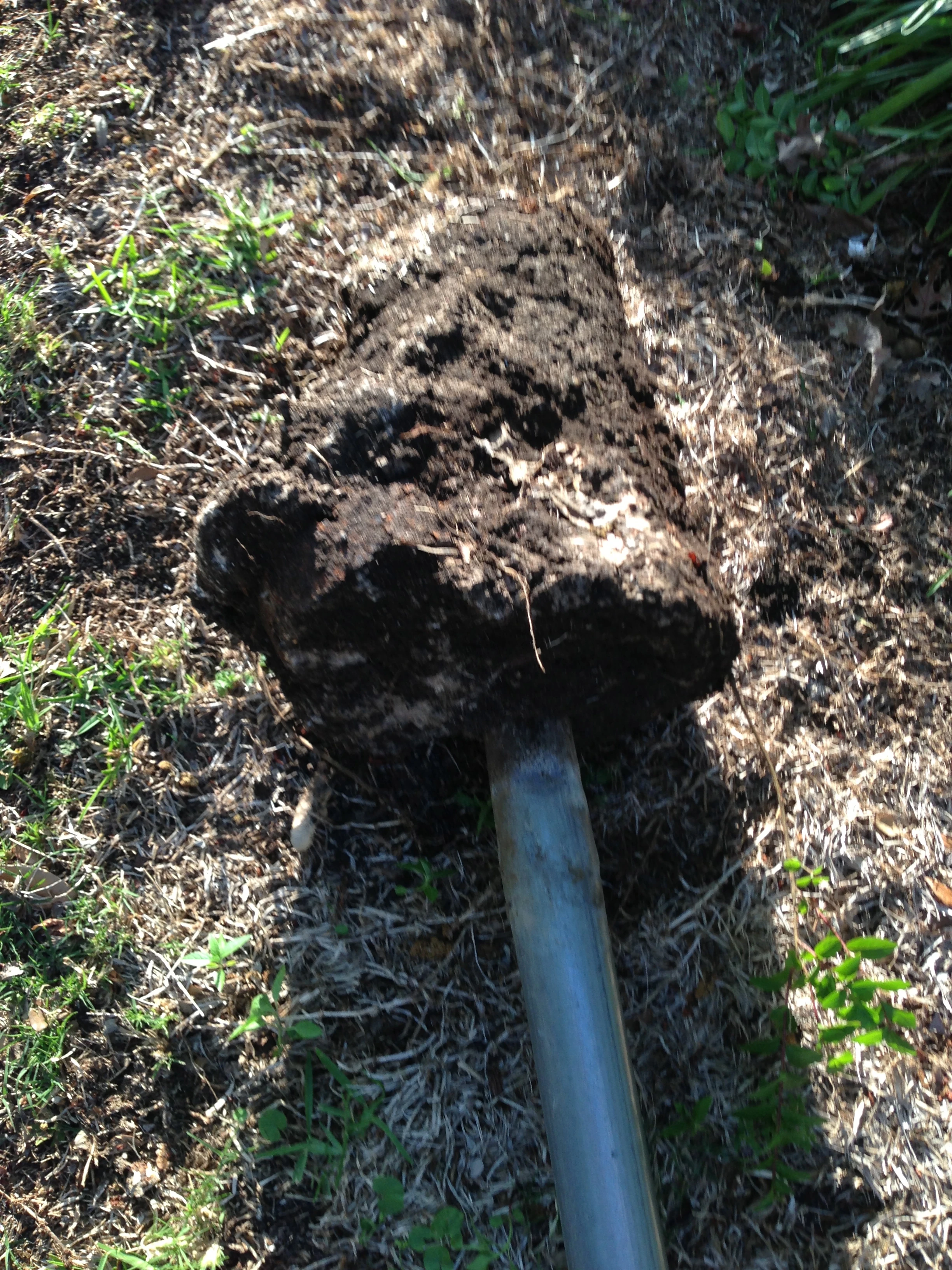 I&rsquo;m doing a little manual labor here, building up the shoulder muscles.