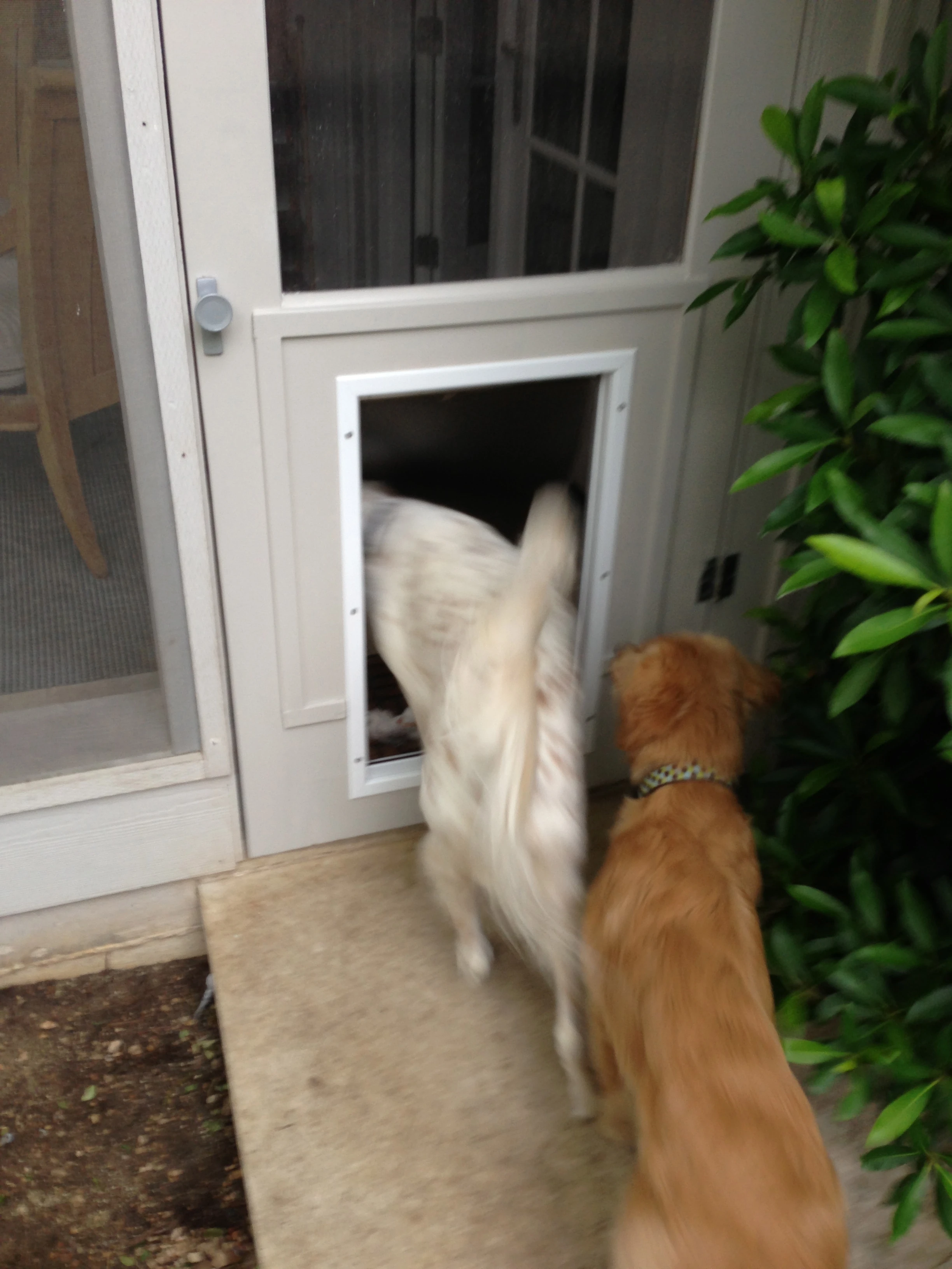 Curious guys checking it out.