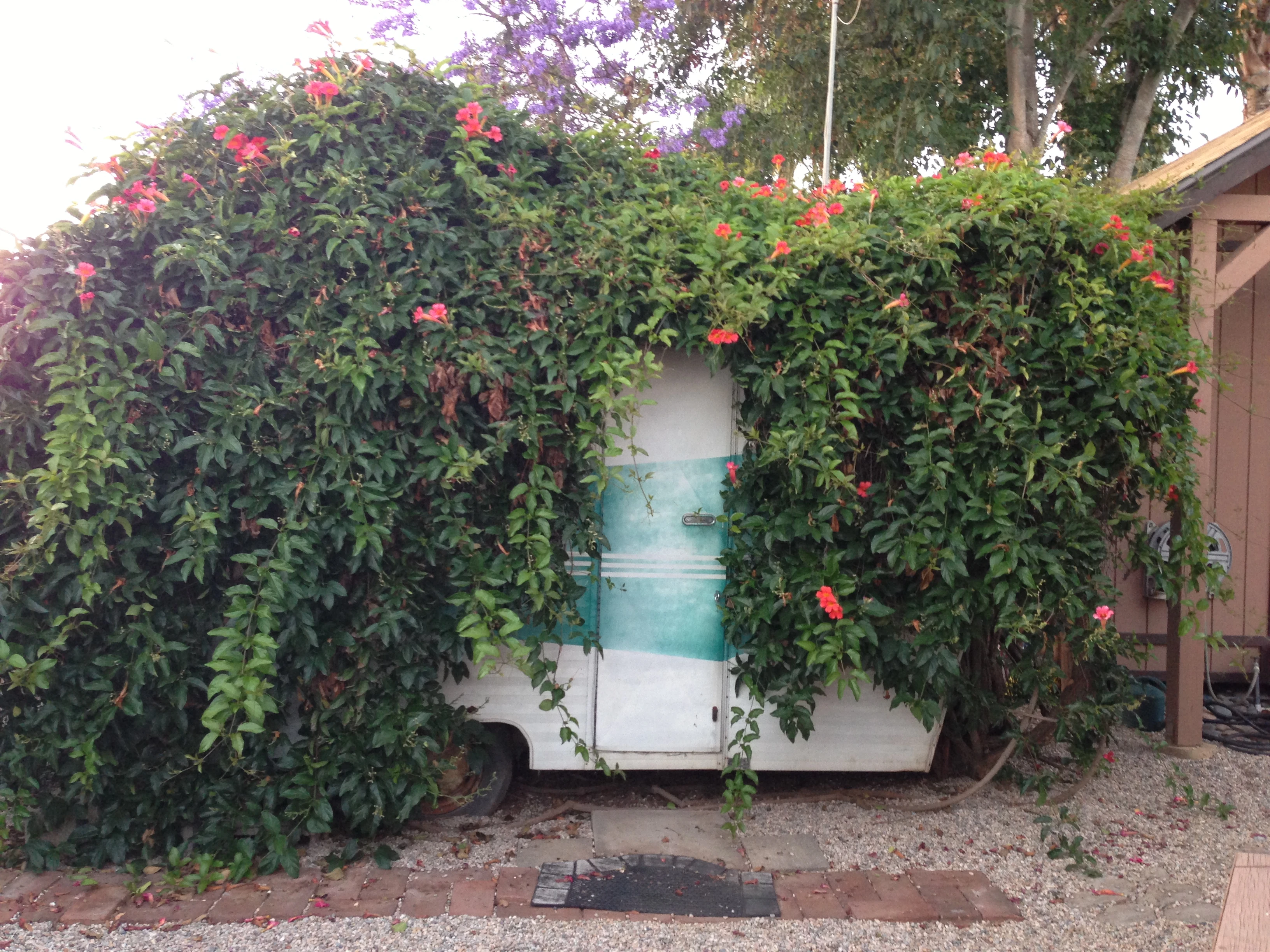 I don&rsquo;t think they have moved this trailer in a while.