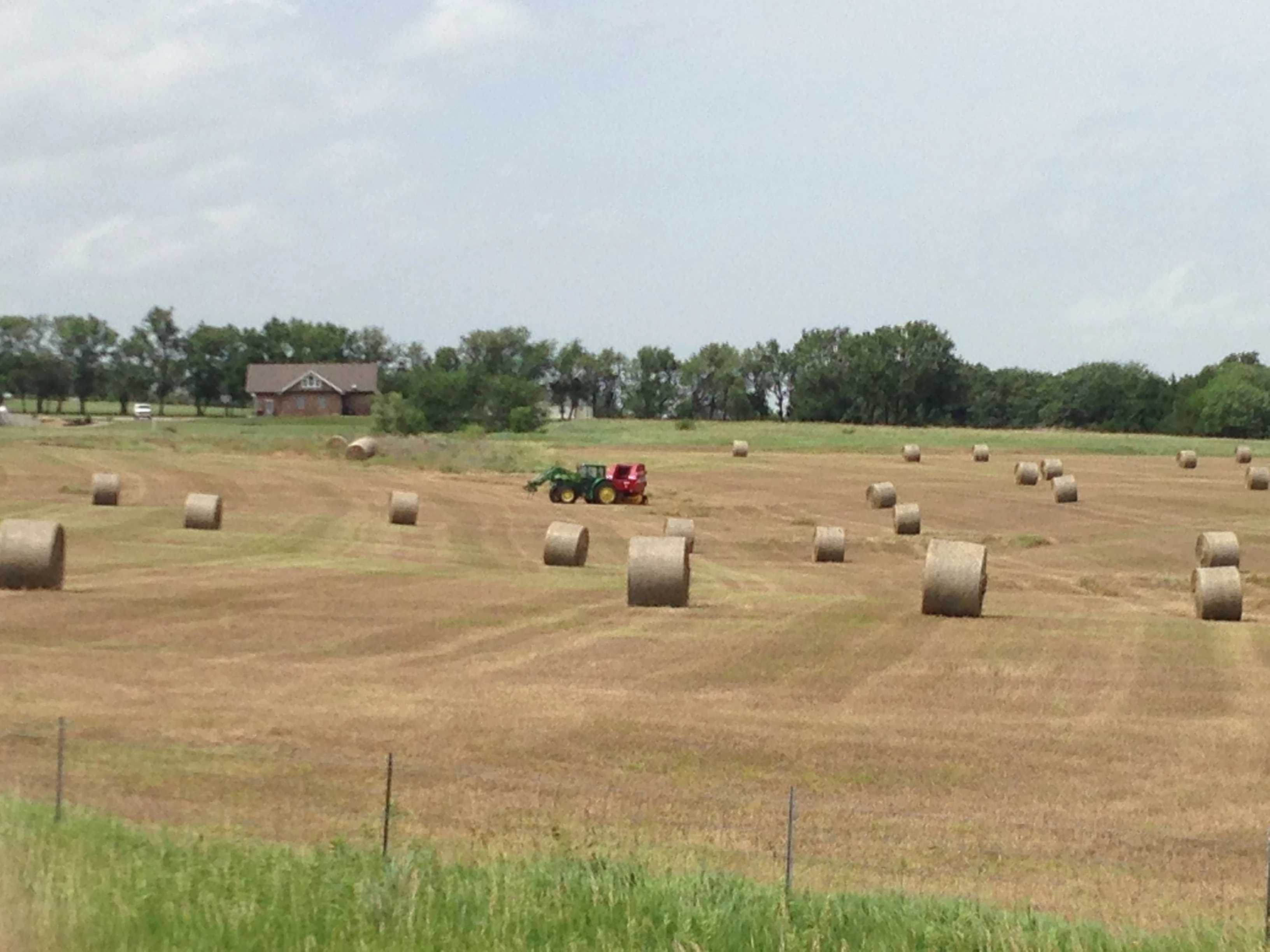 Like I said above, there is a lot of hay around here this year.