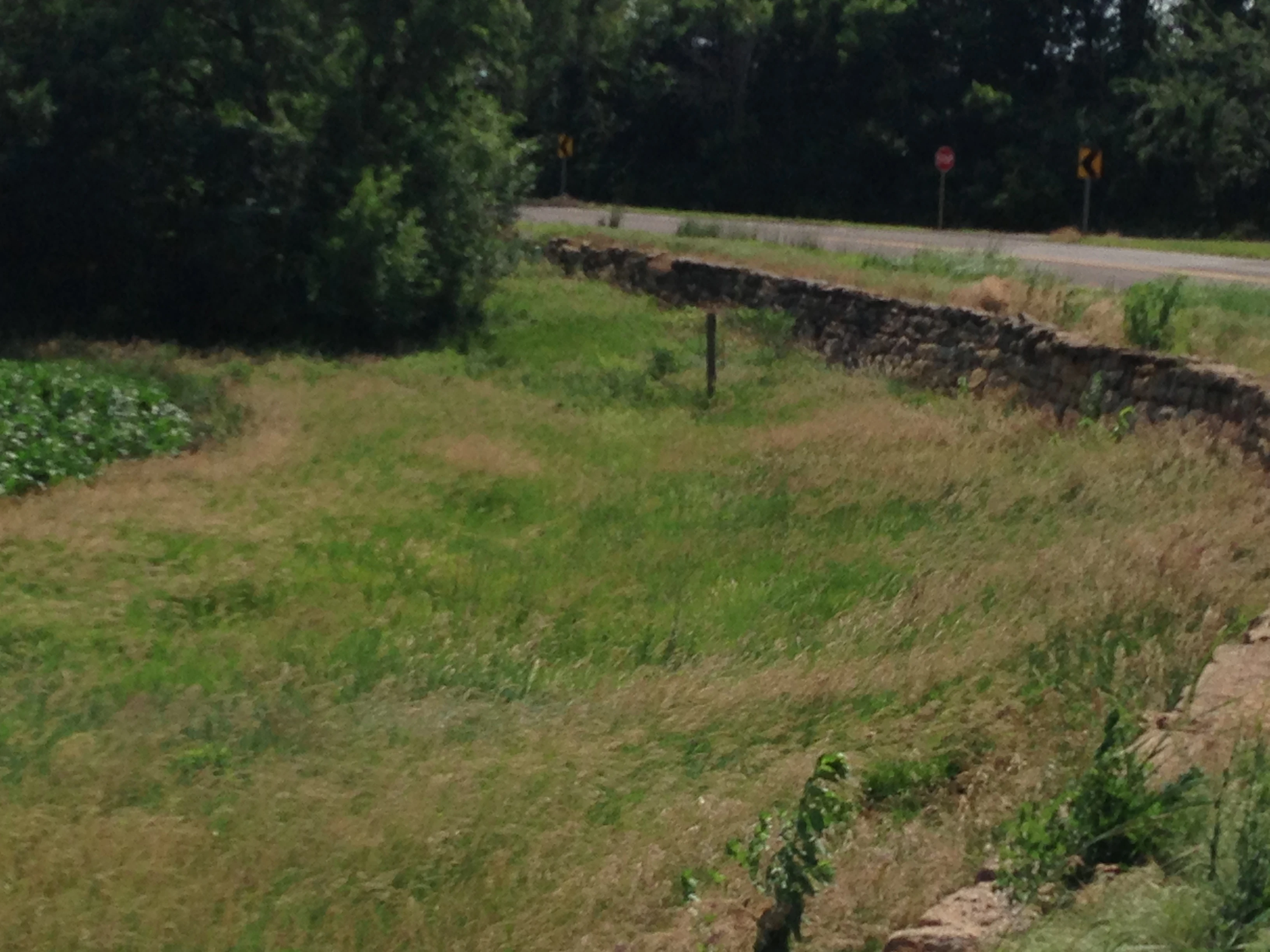 This was my mom&rsquo;s favorite corner when we drove out K-4 when I was a child.