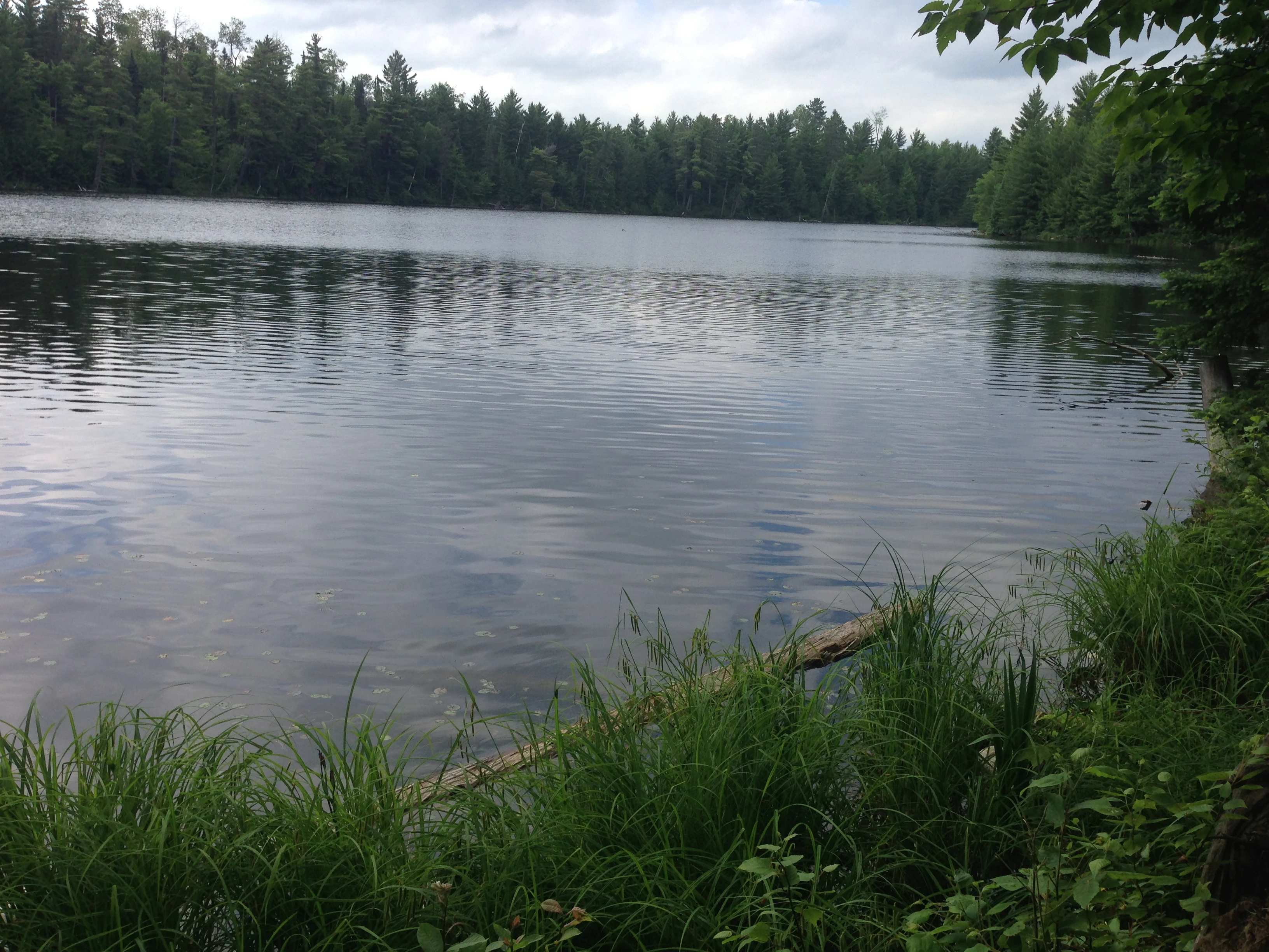 One of my favorite places in the world. The water is so warm right now. At least the first 3 or 4 feet.