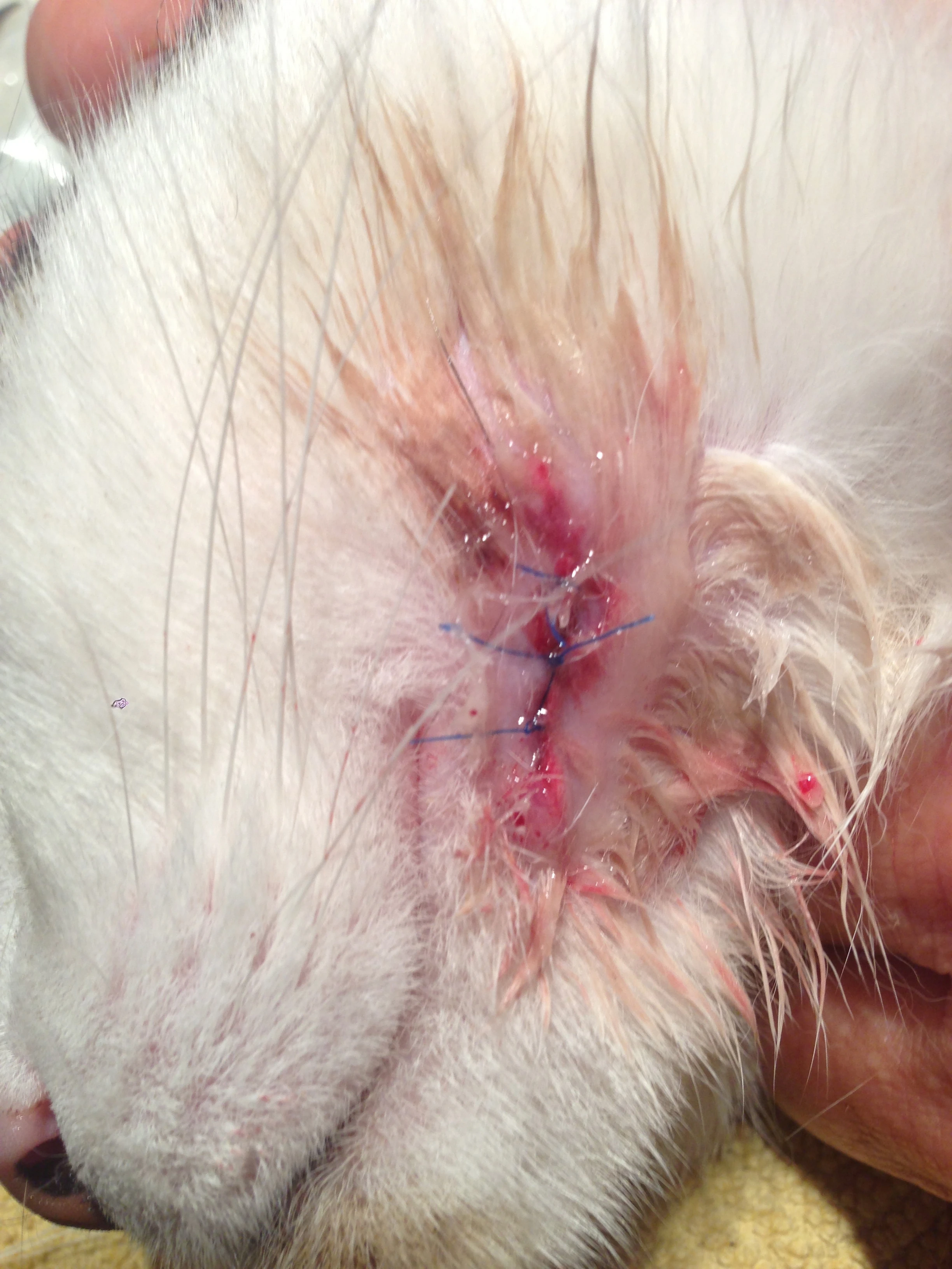 It wasn&rsquo;t perfect, but it will do.