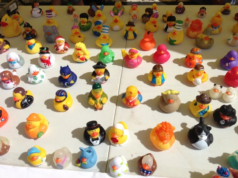 Rubber Duckie race table at the Frisco Farmer&rsquo;s market.