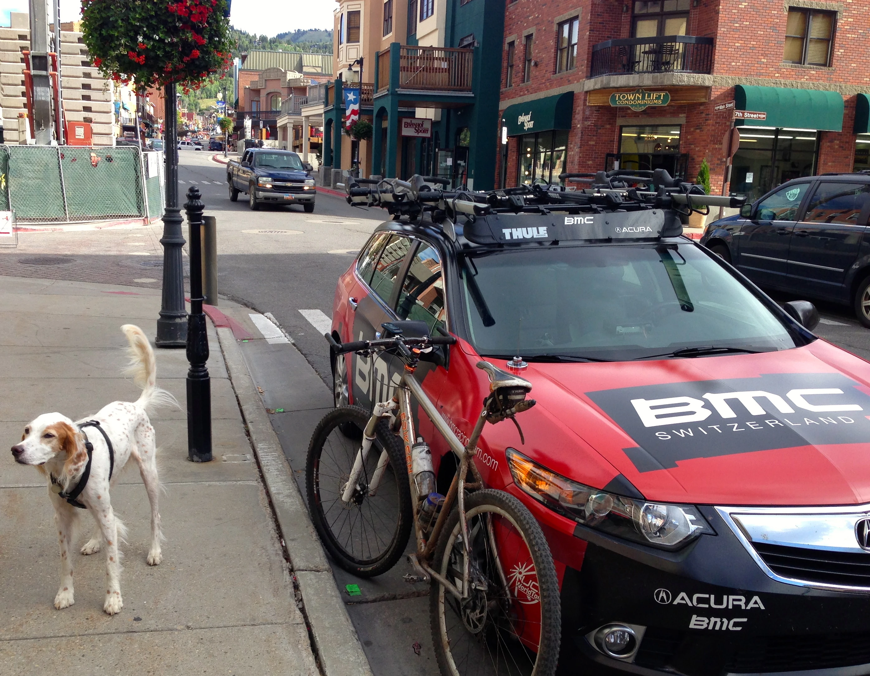 Bromont waiting for Trudi after the ride.