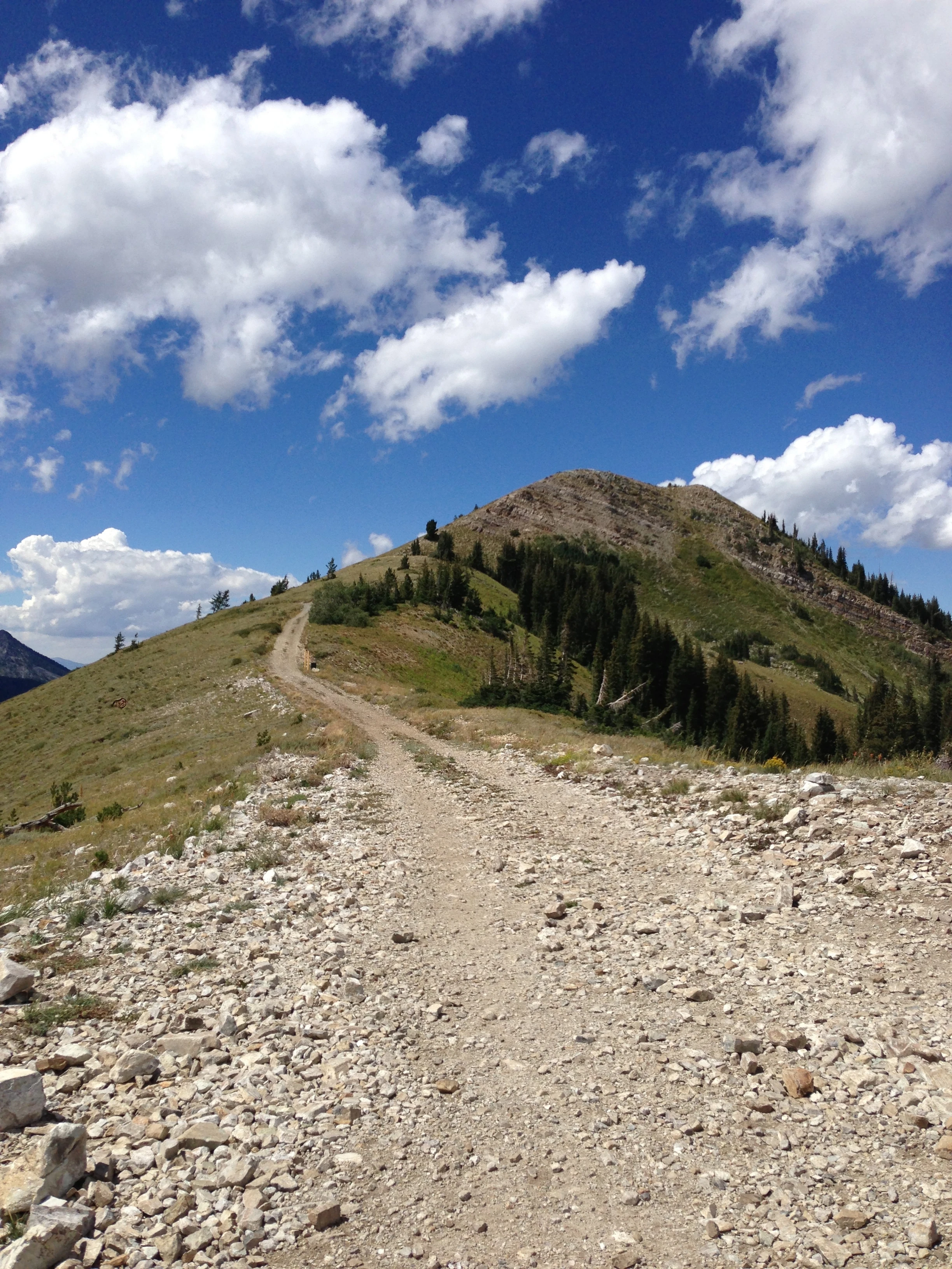 The family was at the top of this gravel climb.