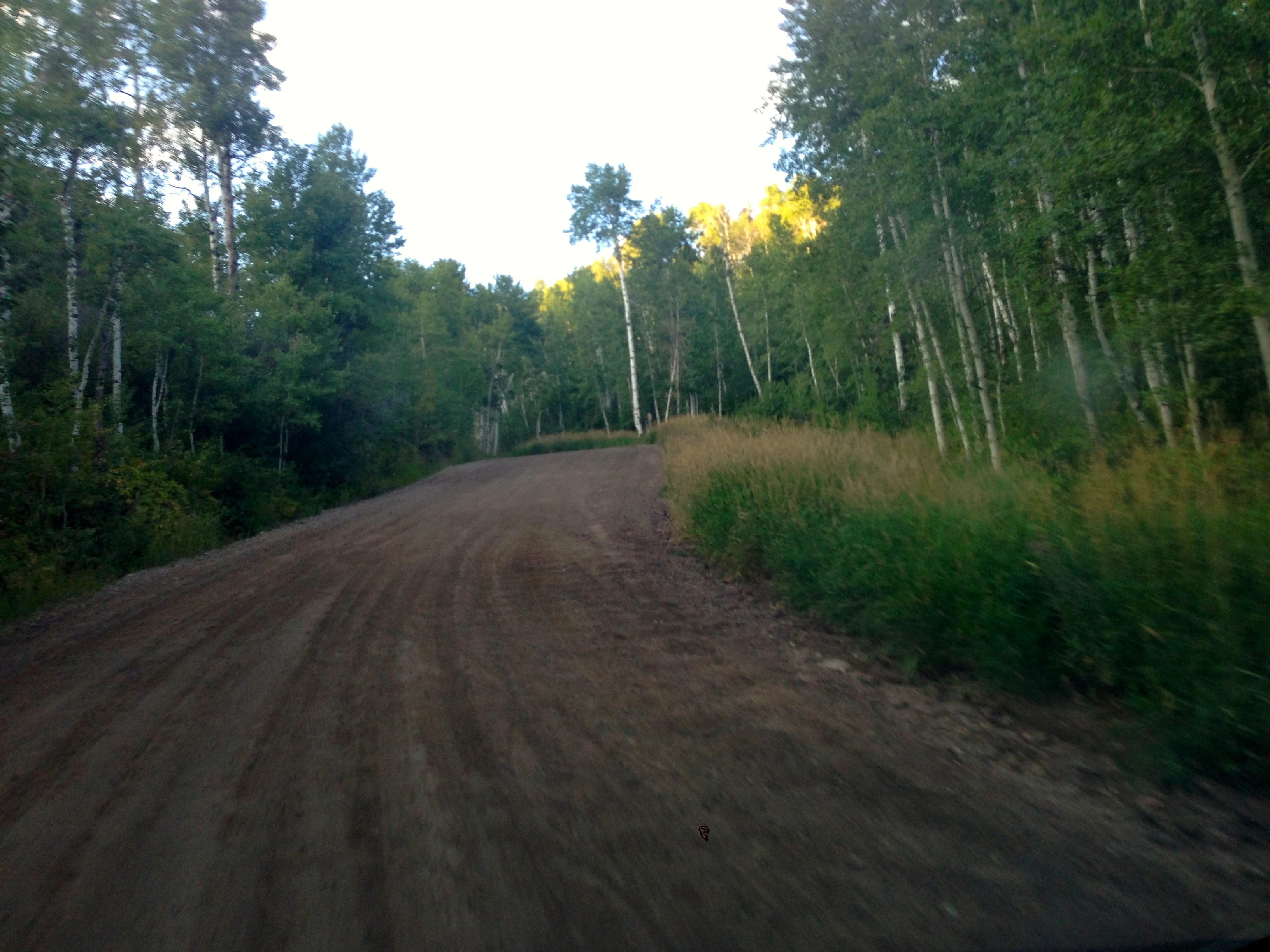 The road is super steep and has a bunch of braking bumps. It heads up through the aspen trees.