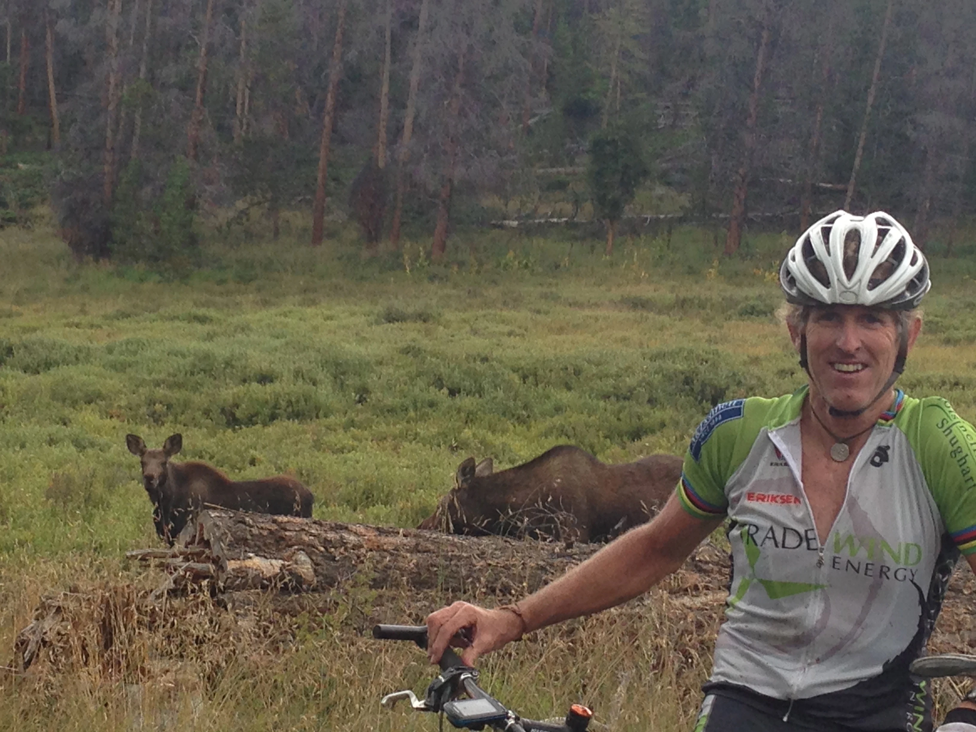 Moose sighting on the ride.