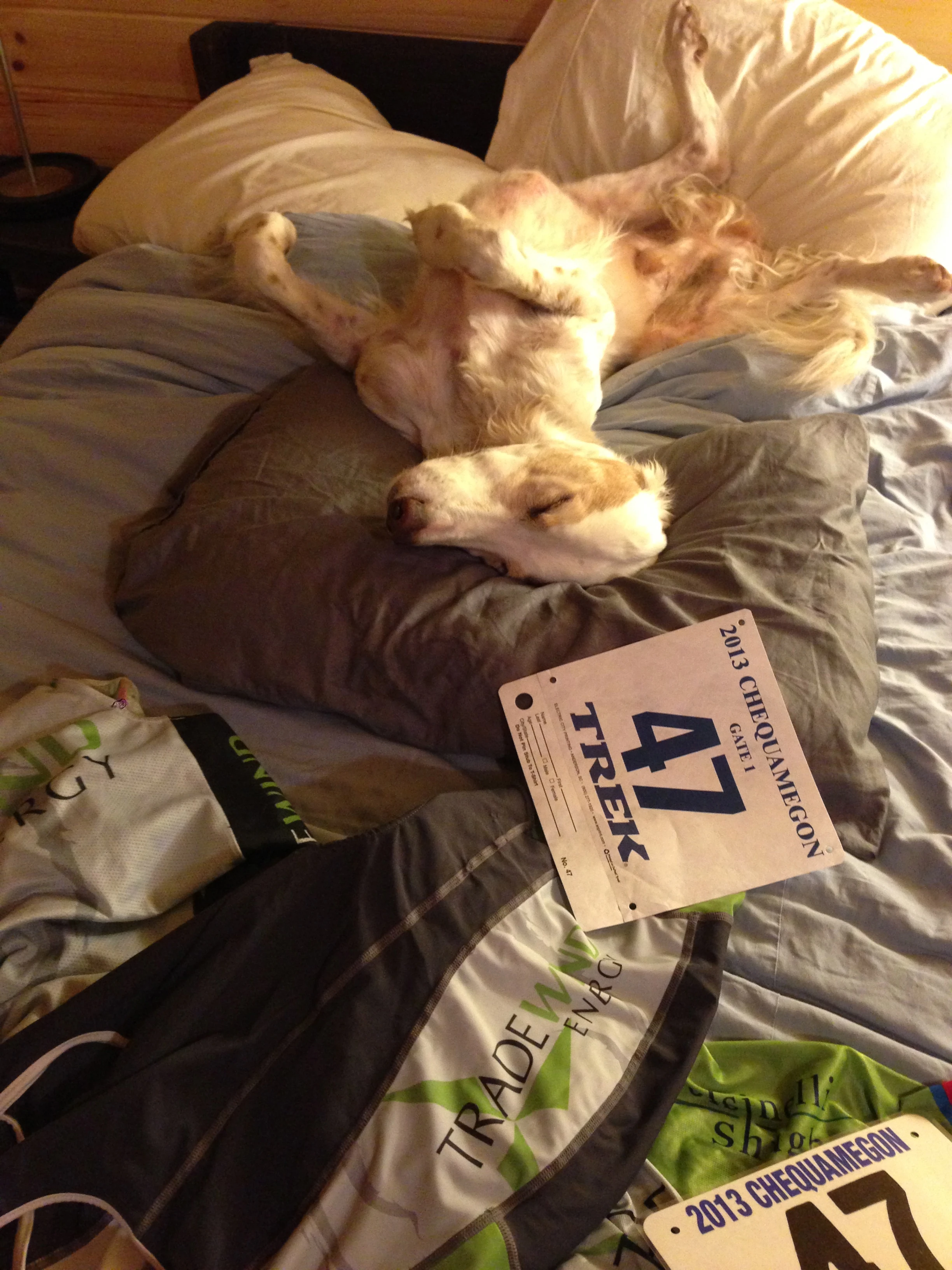 They were setting up the course yesteray.