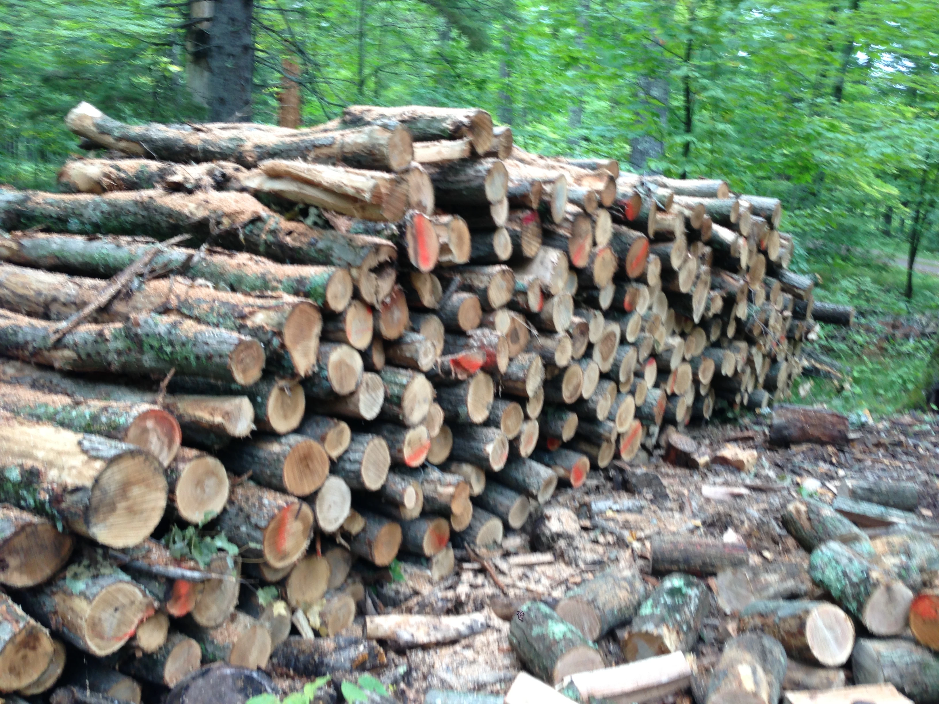 The pile left to split.