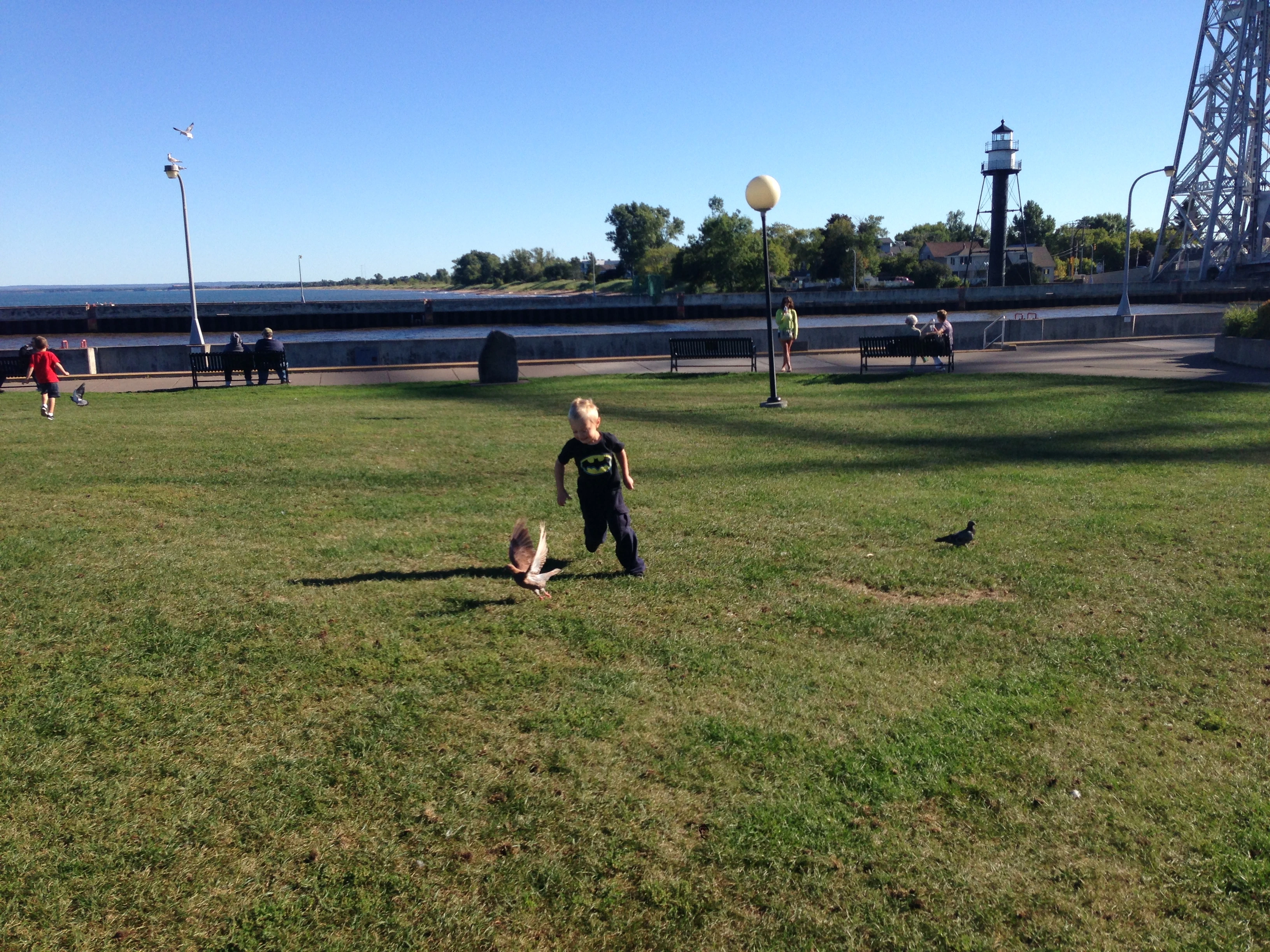 I watched this kid chase a pigeon for a while. 
