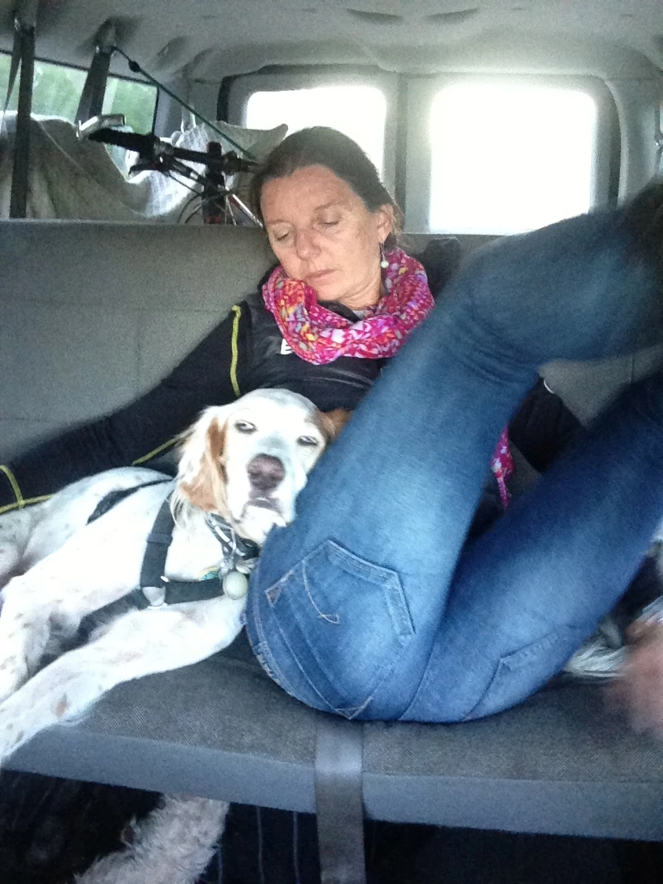 As soon as we started back to Cable, these guys were out.