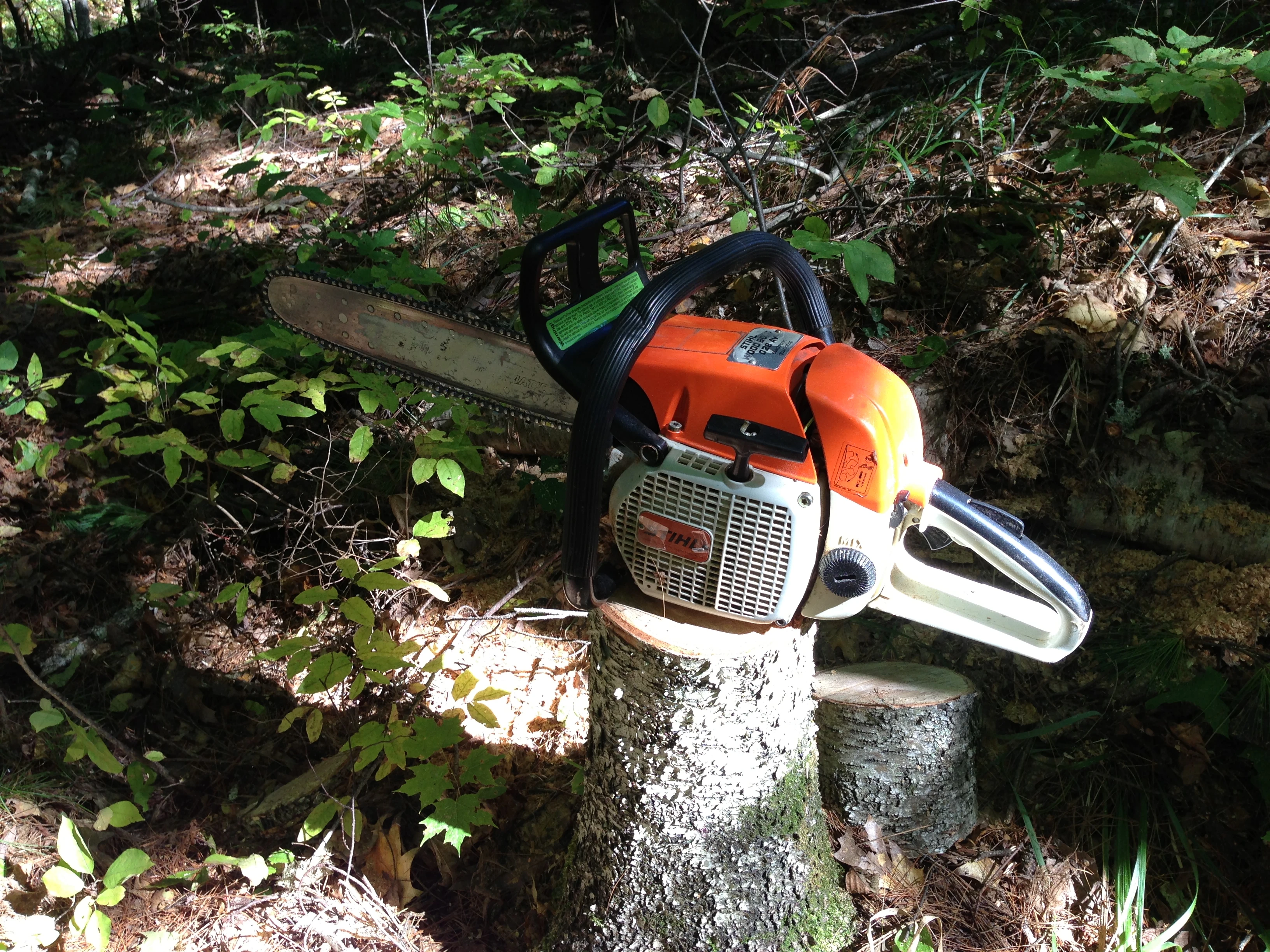 Dennis’ chainsaw. My friend.