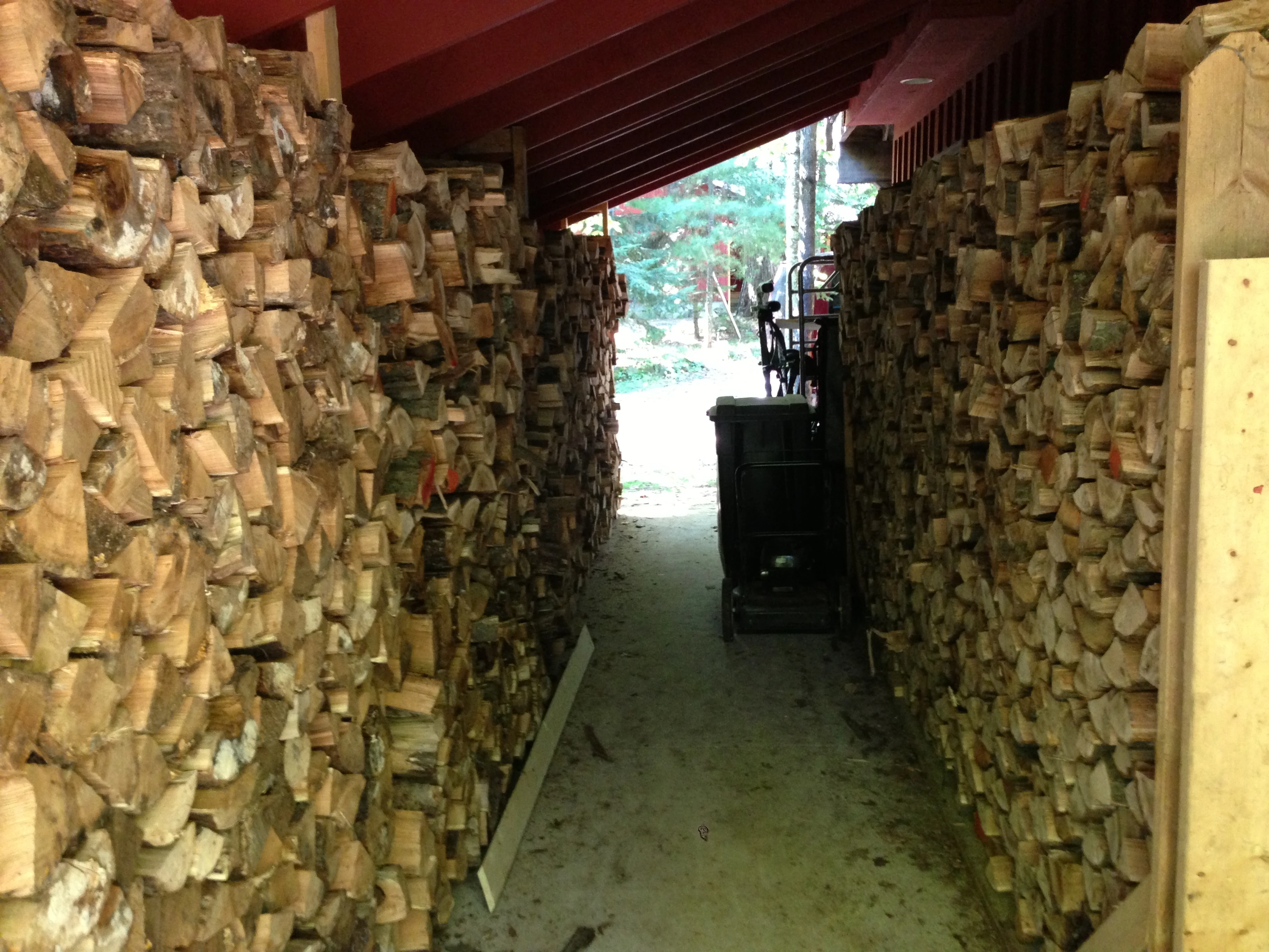 This is most of the wood so far cut and split.