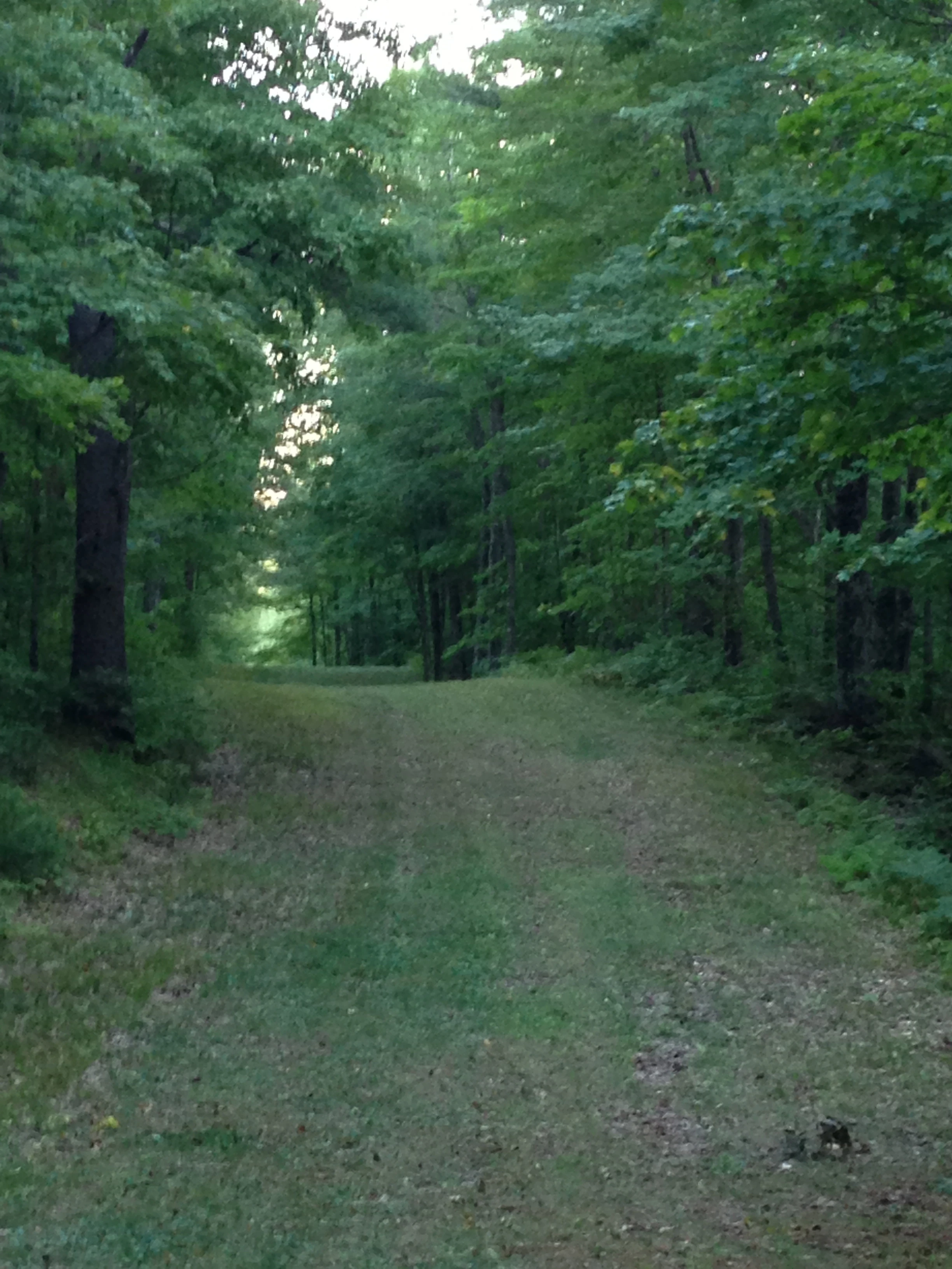The Birkie ski trail. The best marathon ski trail in the World.