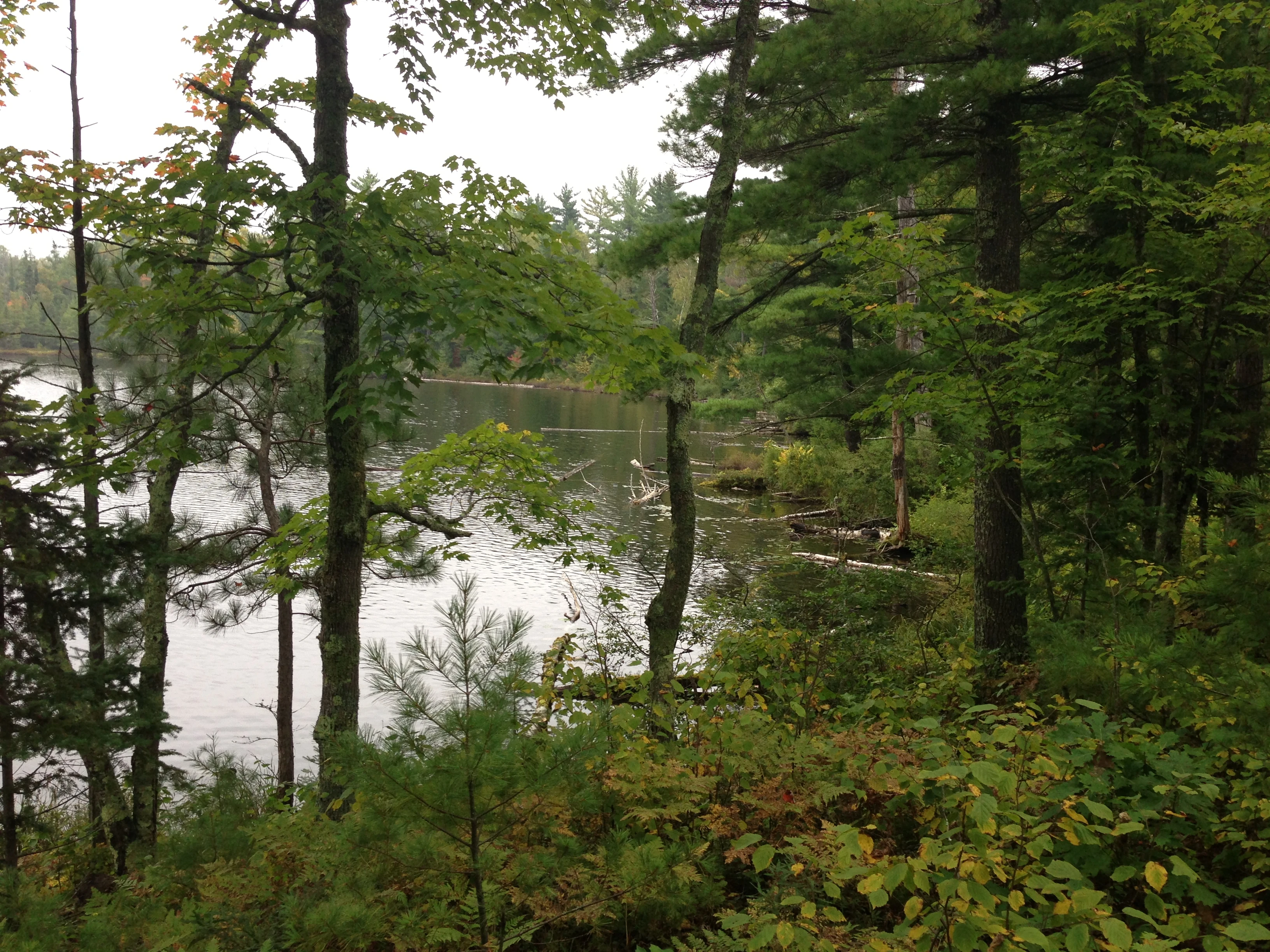 I&rsquo;ve swam a couple times but the water is really, really cold. I can only stand it for 5 minutes or so.
