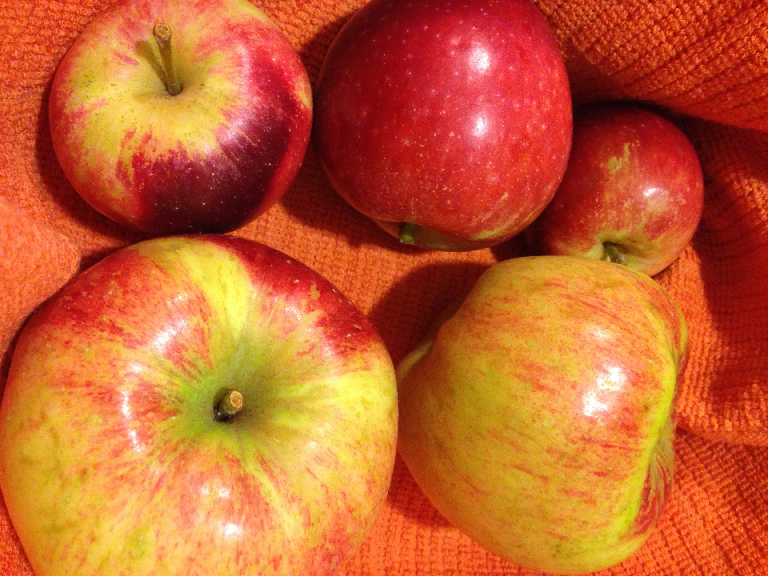 The apples out on Bainbridge are to die for.