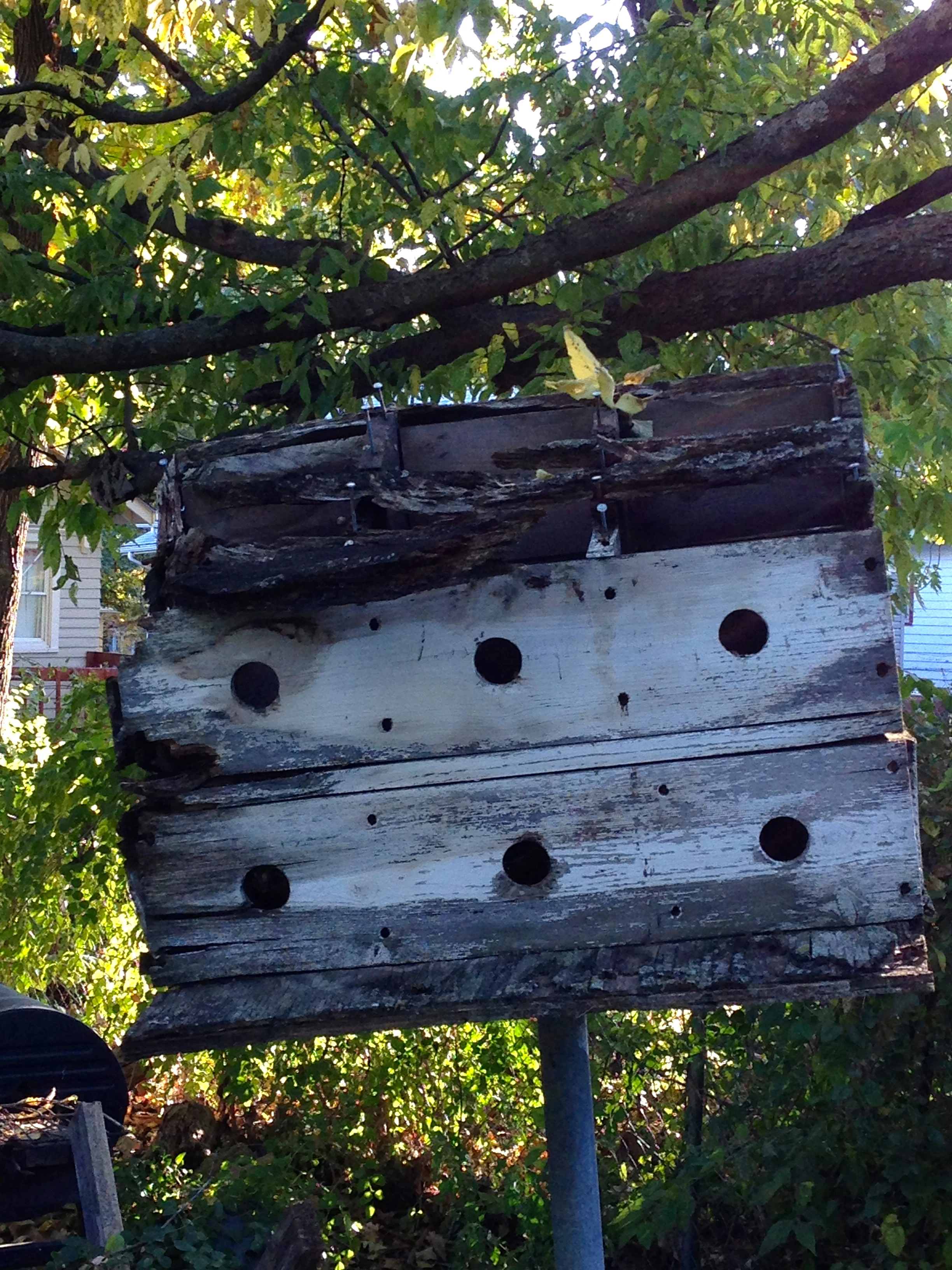 I saw this decaying bird house in an alley. It seemed wrong to let it deteriorate like this.